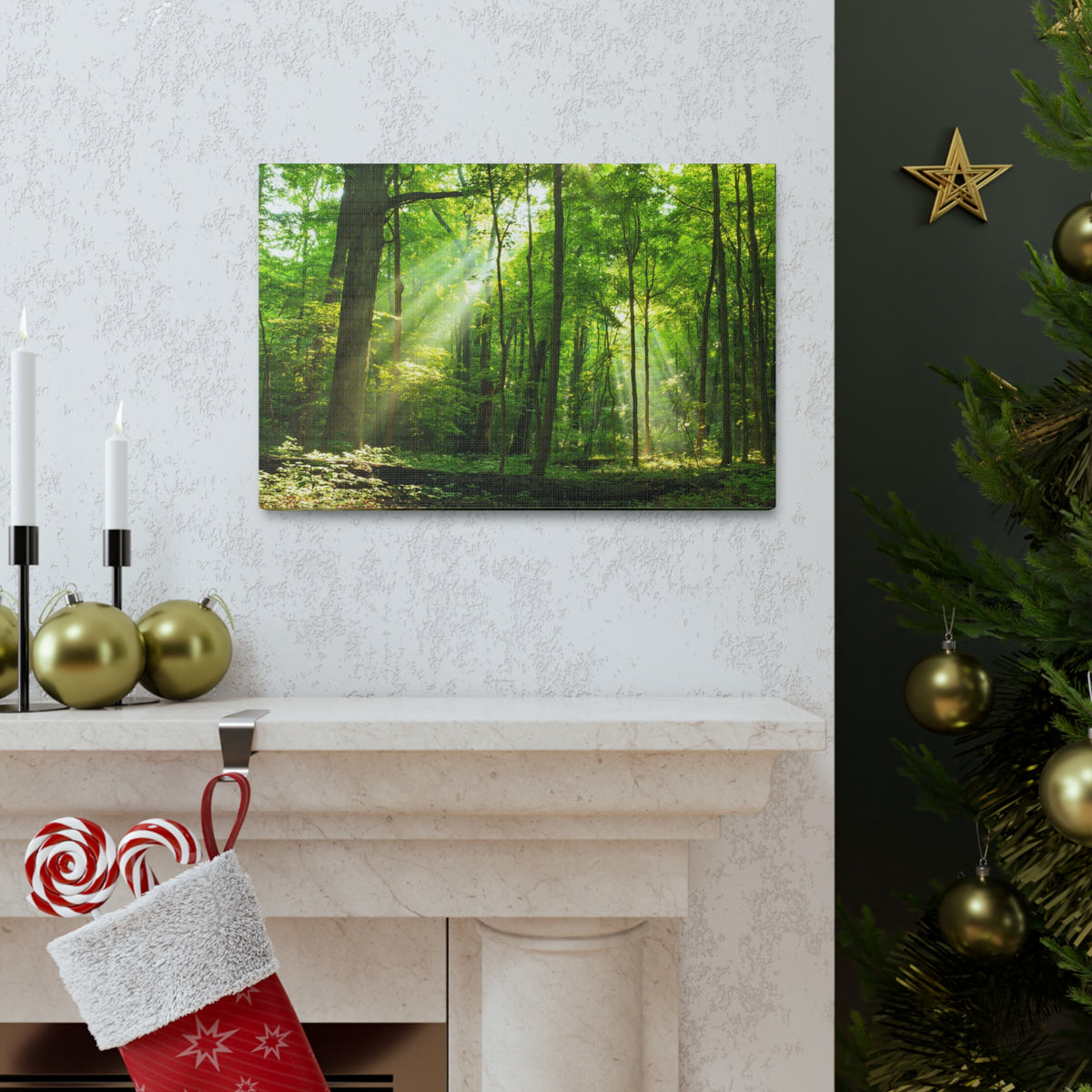 Green Forest Summer Sunlight Nature Wilderness Photography Canvas Wall Art for Home Decor Ready-to-Hang-Express Your Love Gifts