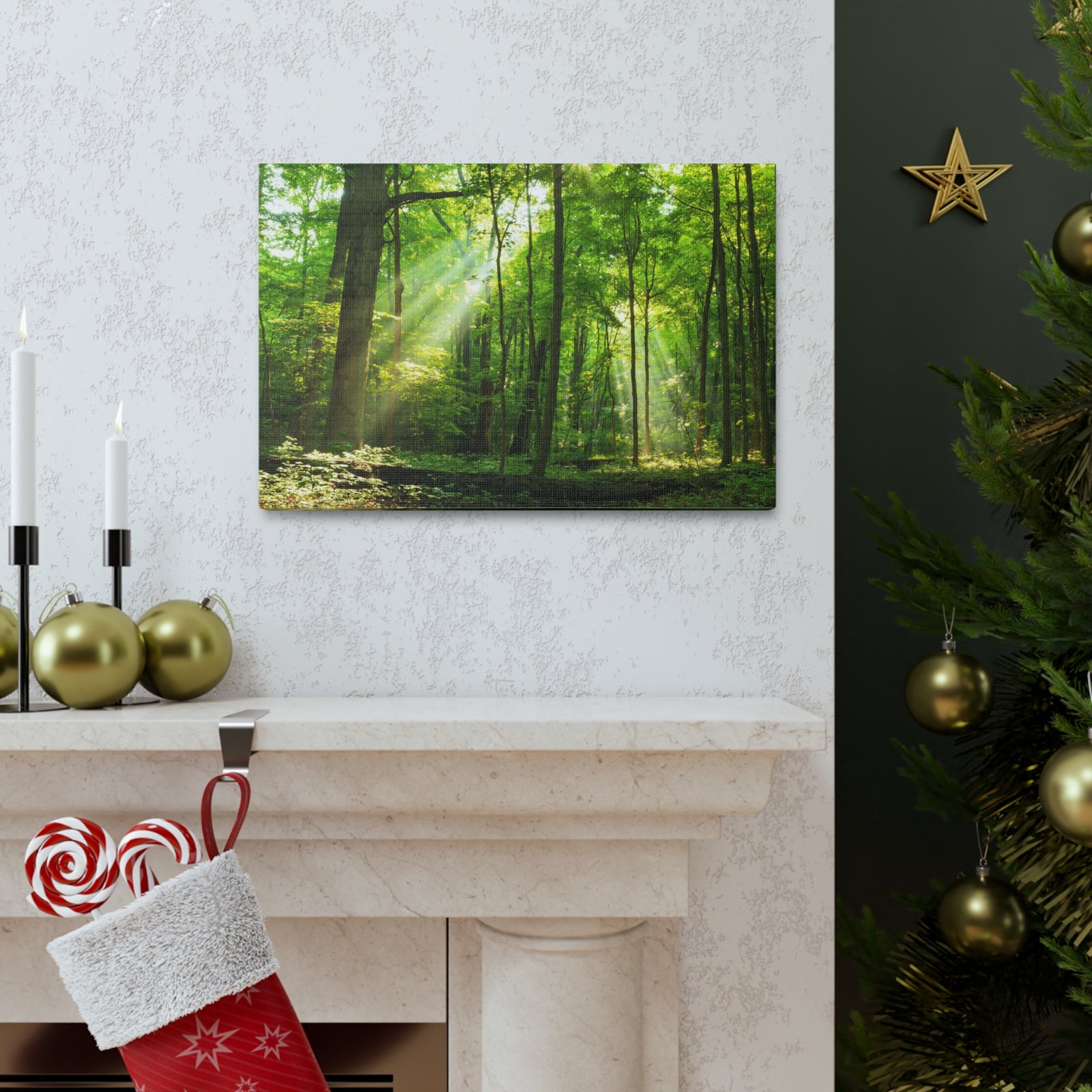 Green Forest Summer Sunlight Nature Wilderness Photography Canvas Wall Art for Home Decor Ready-to-Hang-Express Your Love Gifts