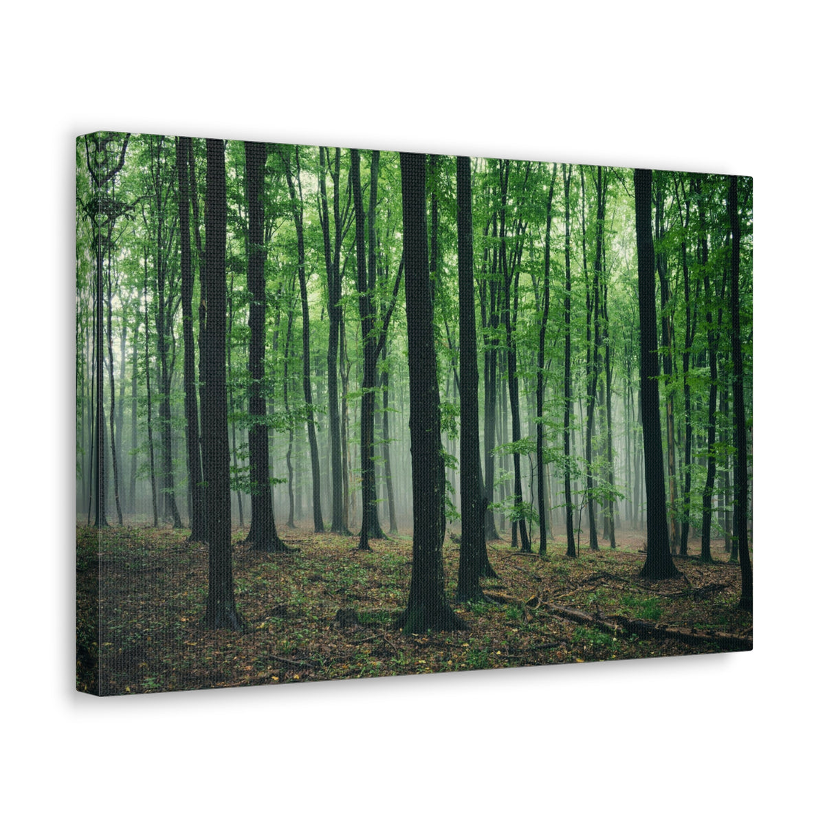 Misty Green Pine Tree Forest Nature Wilderness Photography Canvas Wall Art for Home Decor Ready-to-Hang-Express Your Love Gifts