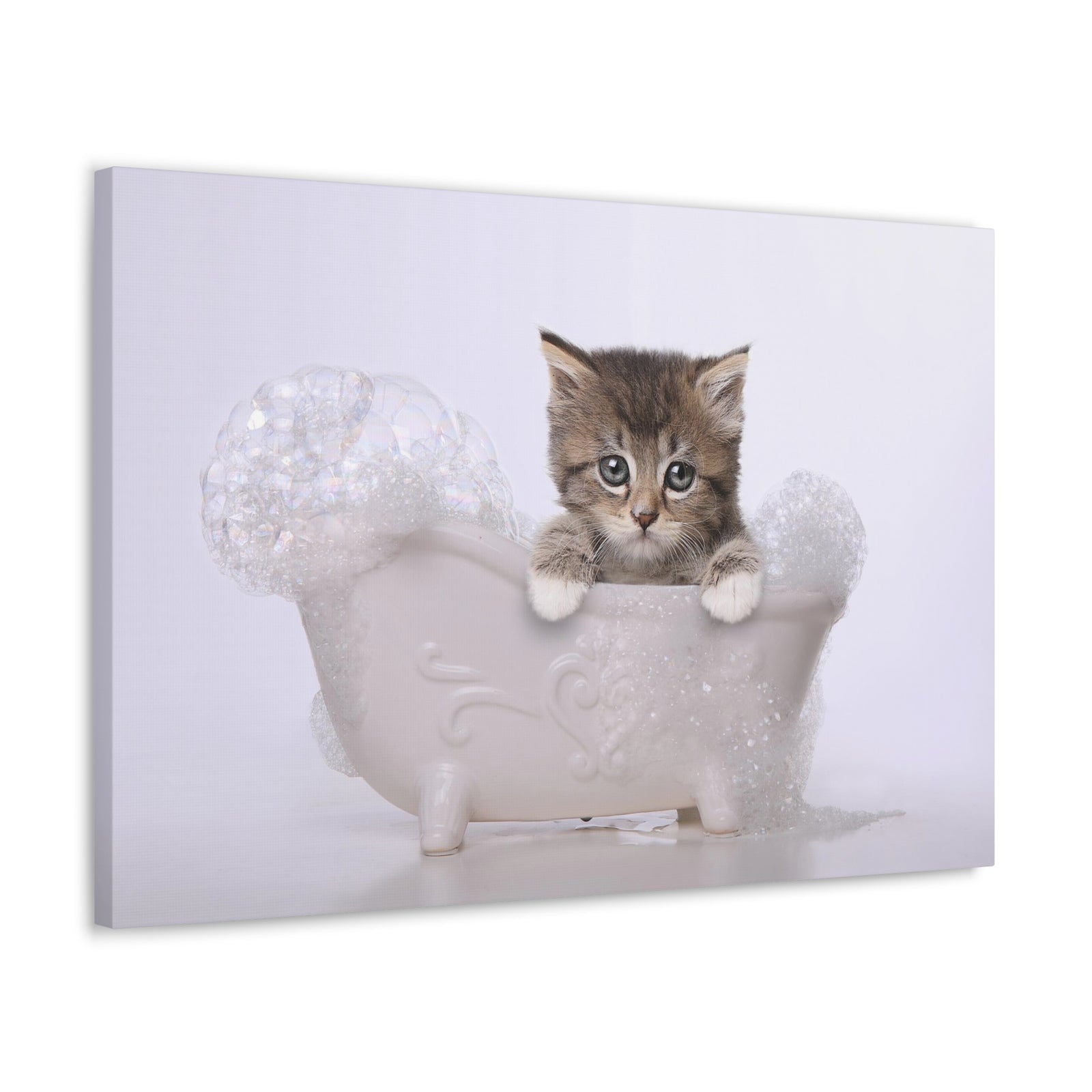 Cute Main Coon Kitten Bathee Canvas Wall Art for Home Decor Ready-to-Hang-Express Your Love Gifts