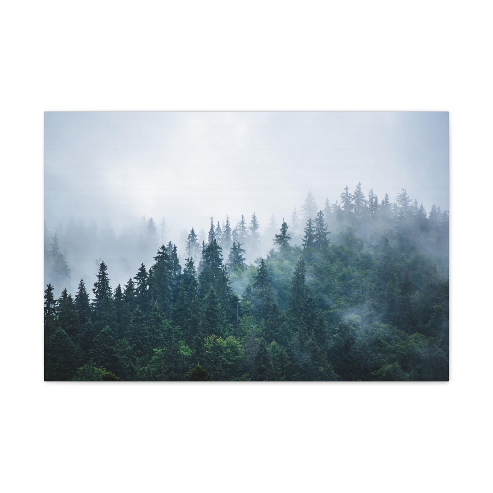 Misty Dark Mountain Forest Nature Wilderness Photography Canvas Wall Art for Home Decor Ready-to-Hang-Express Your Love Gifts