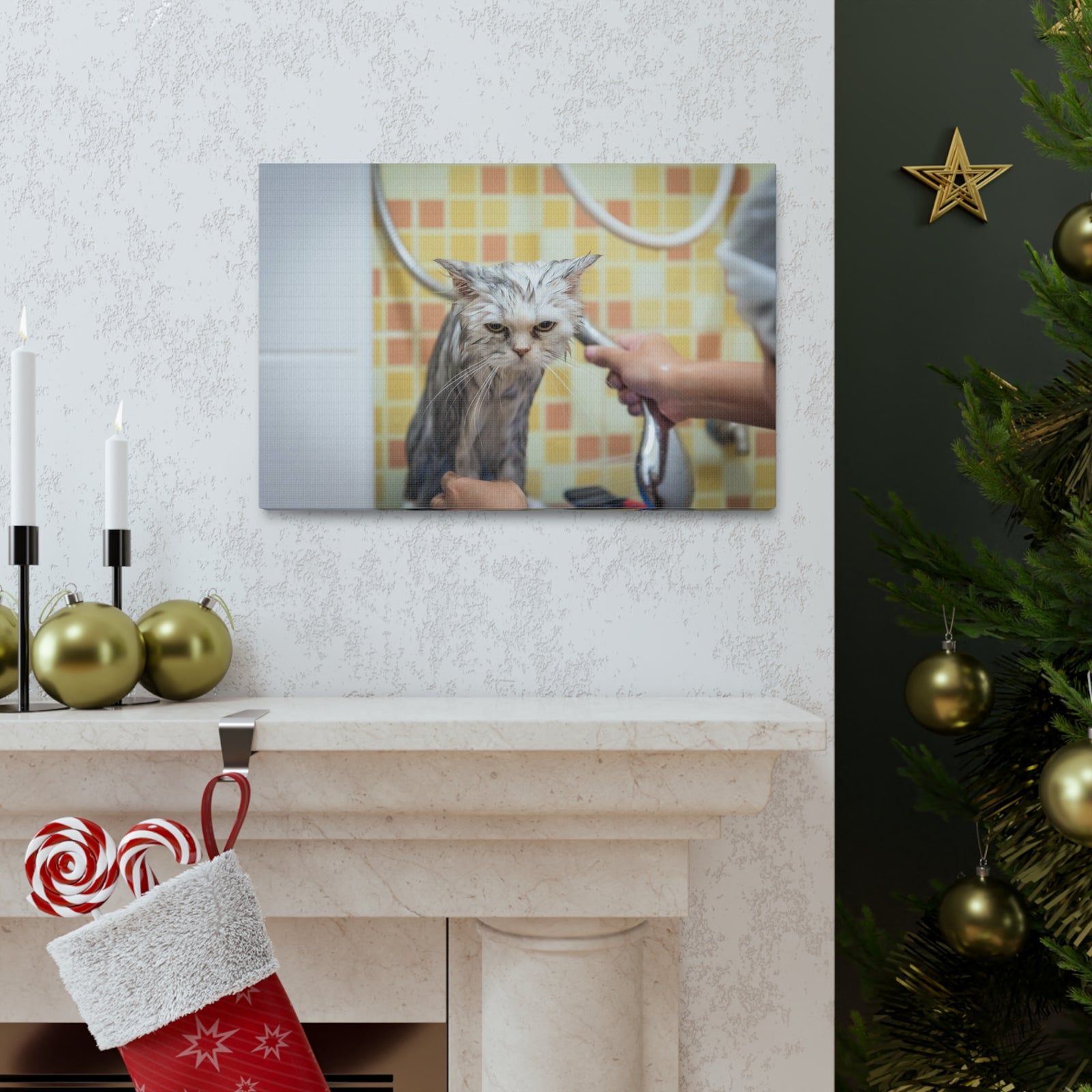 Cute Maine Coon Bath Canvas Wall Art for Home Decor Ready-to-Hang-Express Your Love Gifts