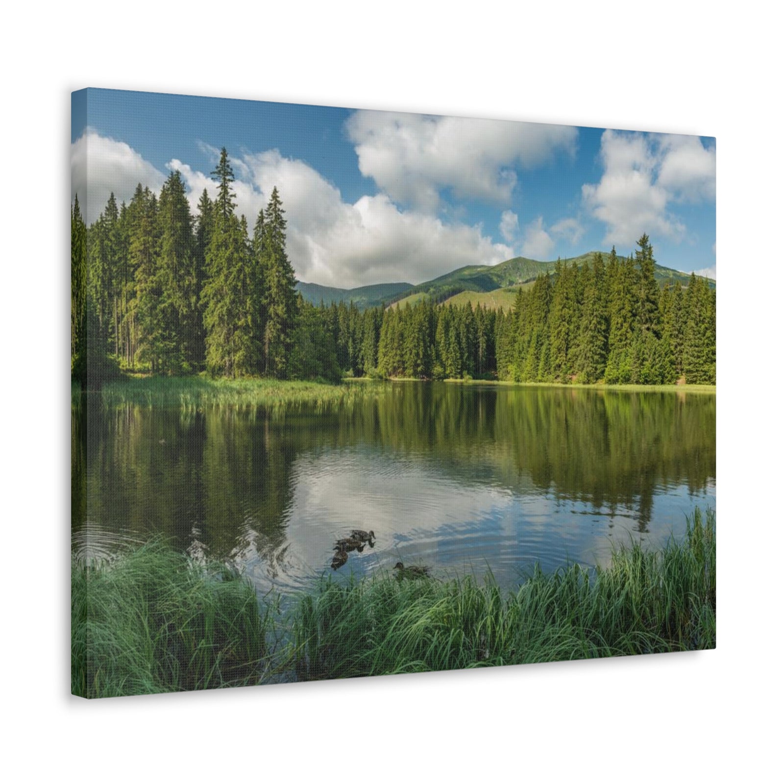Lake Reflection Green Forest Nature Wilderness Photography Canvas Wall Art for Home Decor Ready-to-Hang-Express Your Love Gifts