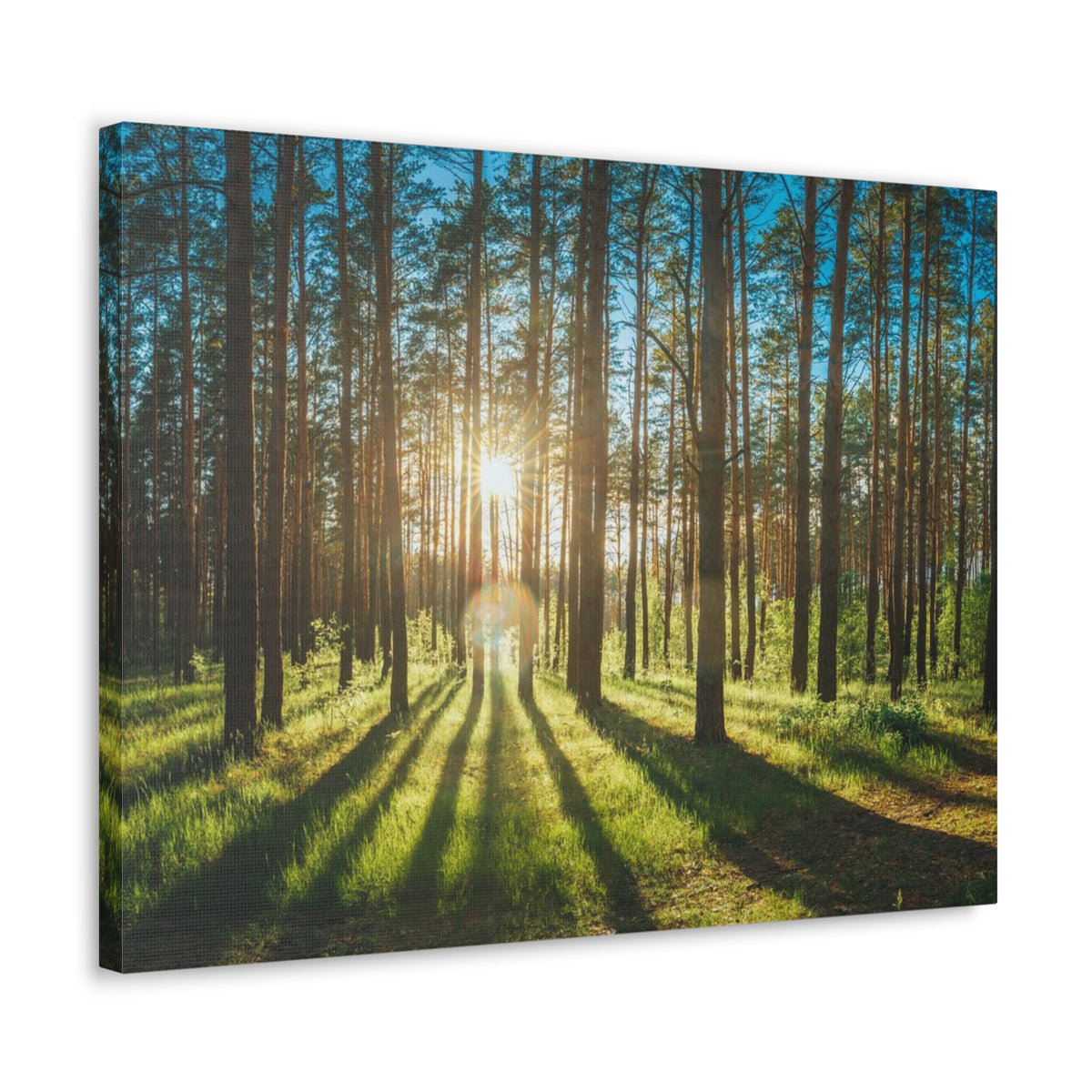 Forest Green Sunrise Nature Wilderness Photography Canvas Wall Art for Home Decor Ready-to-Hang-Express Your Love Gifts