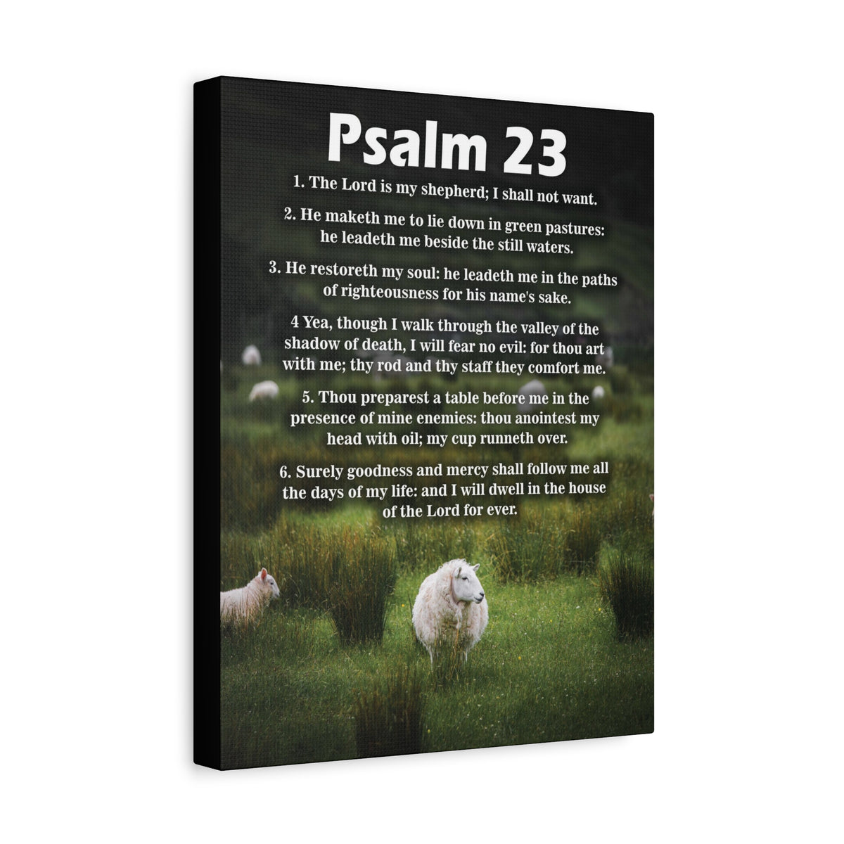 Scripture Walls The Lord is My Shepherd Psalm 23:3 Christian Wall Art Bible Verse Print Ready to Hang-Express Your Love Gifts