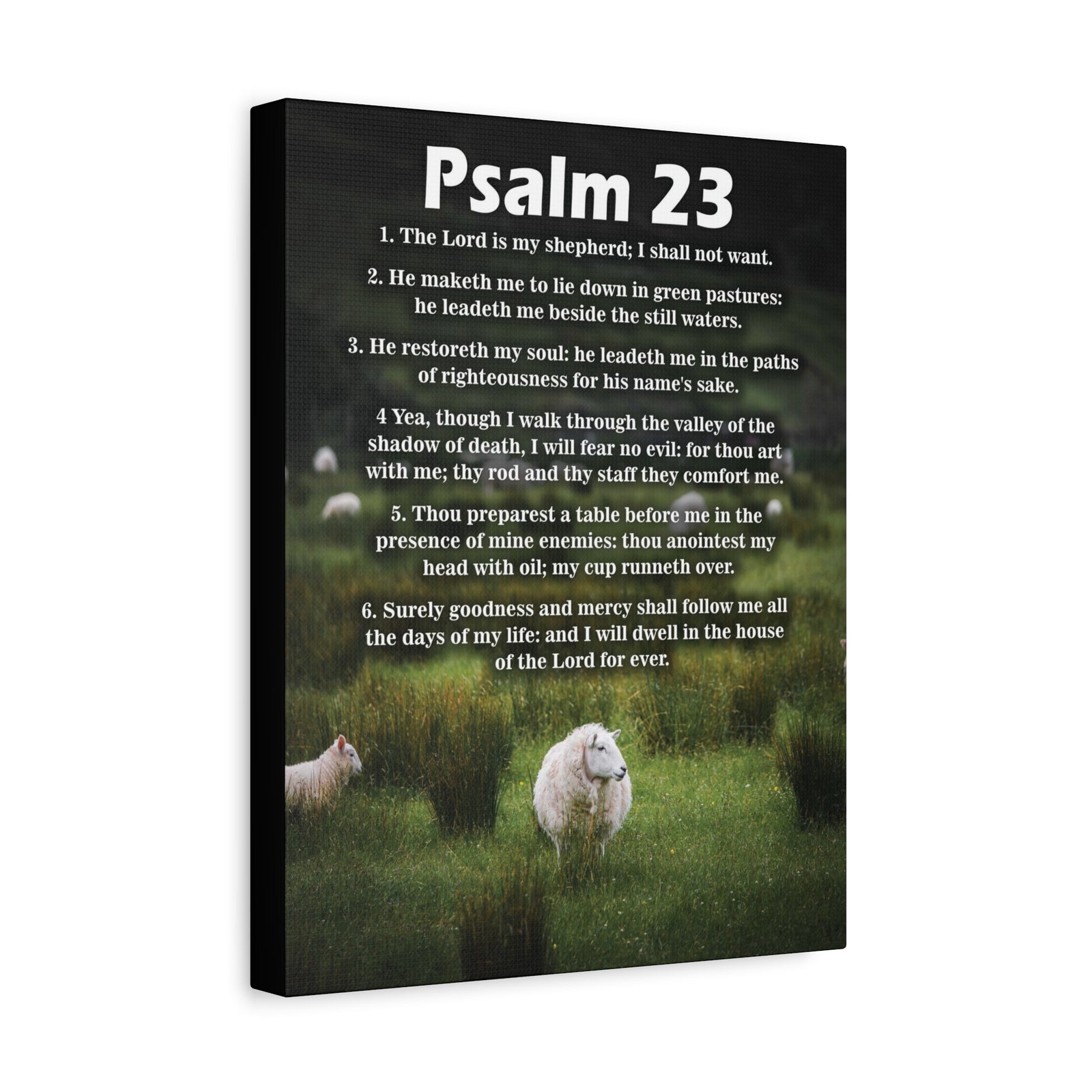 Scripture Walls The Lord is My Shepherd Psalm 23:3 Christian Wall Art Bible Verse Print Ready to Hang-Express Your Love Gifts