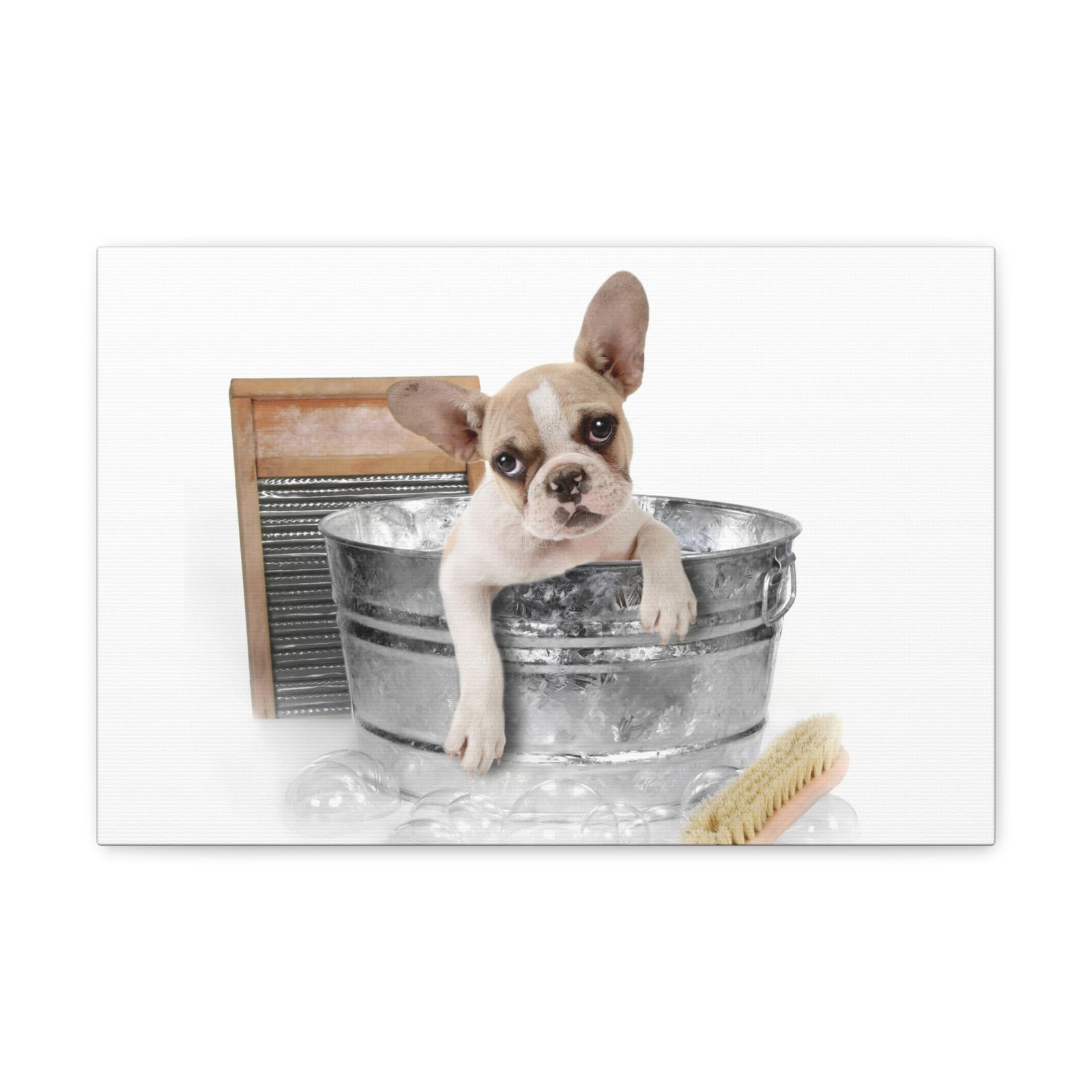 Cute French Bulldog Bath Canvas Wall Art for Home Decor Ready-to-Hang-Express Your Love Gifts