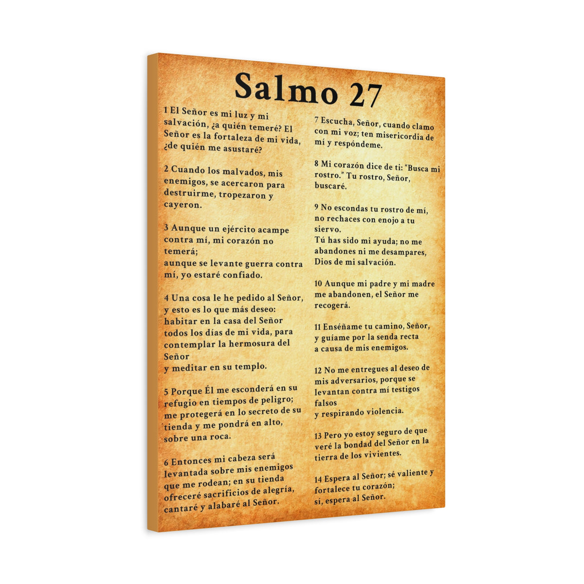 Scripture Walls Salmo 27 Chapter Gold Christian Wall Art Print Ready to Hang Unframed-Express Your Love Gifts