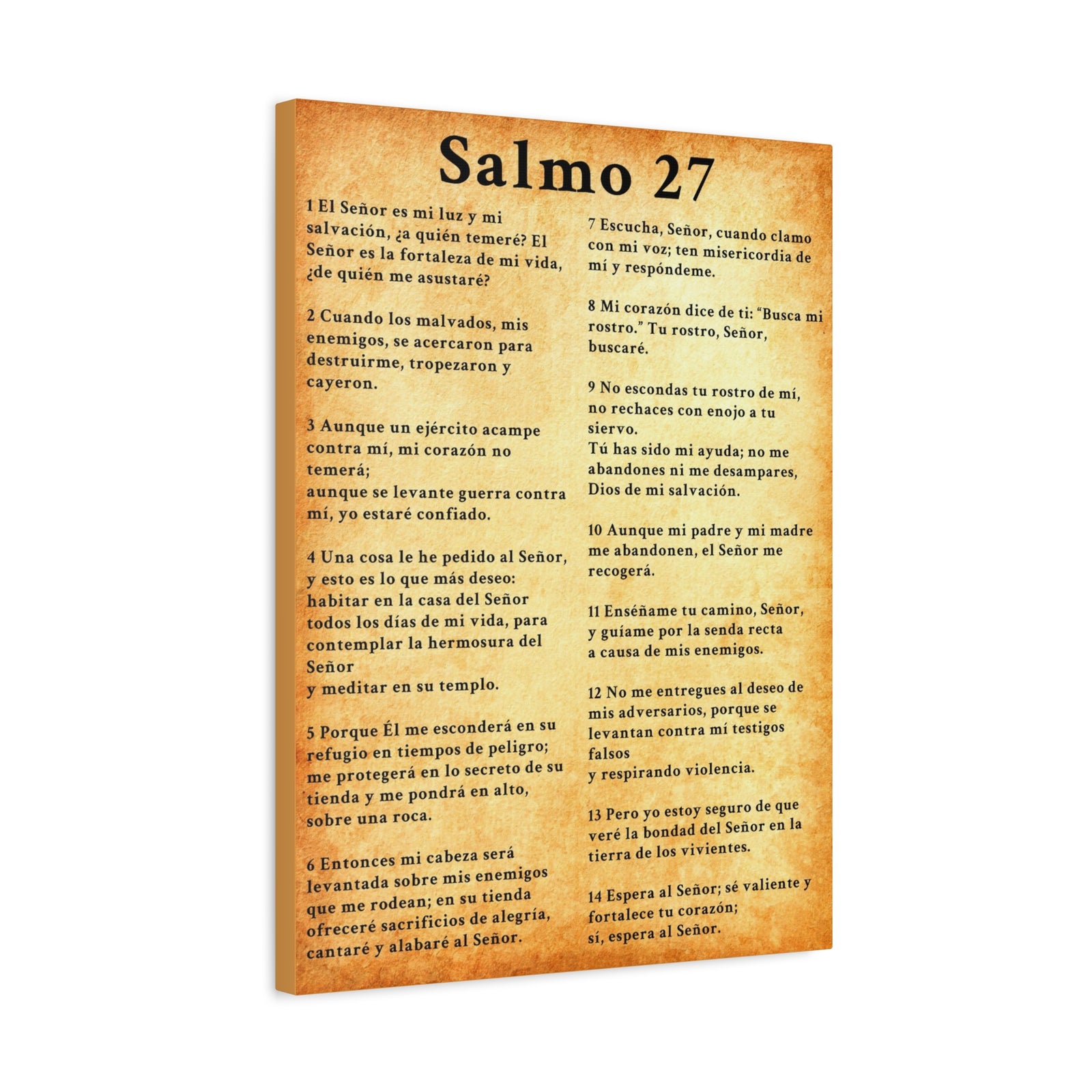 Scripture Walls Salmo 27 Chapter Gold Christian Wall Art Print Ready to Hang Unframed-Express Your Love Gifts