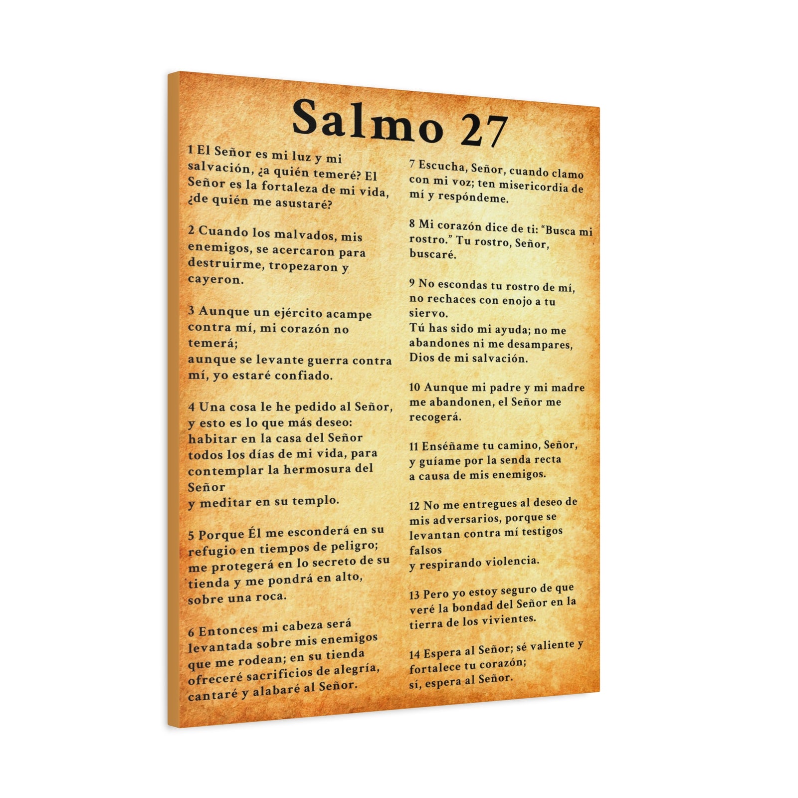 Scripture Walls Salmo 27 Chapter Gold Christian Wall Art Print Ready to Hang Unframed-Express Your Love Gifts