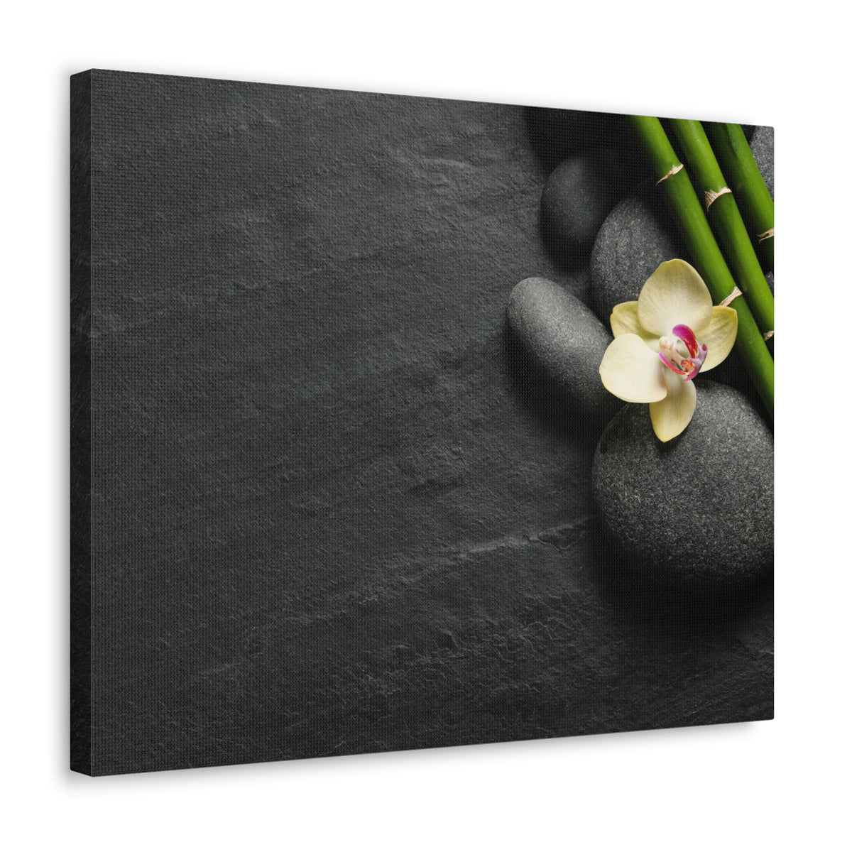 Beautiful Orchid Flower Forest Floral Nature Photography Canvas Wall Art for Home Decor Ready-to-Hang-Express Your Love Gifts