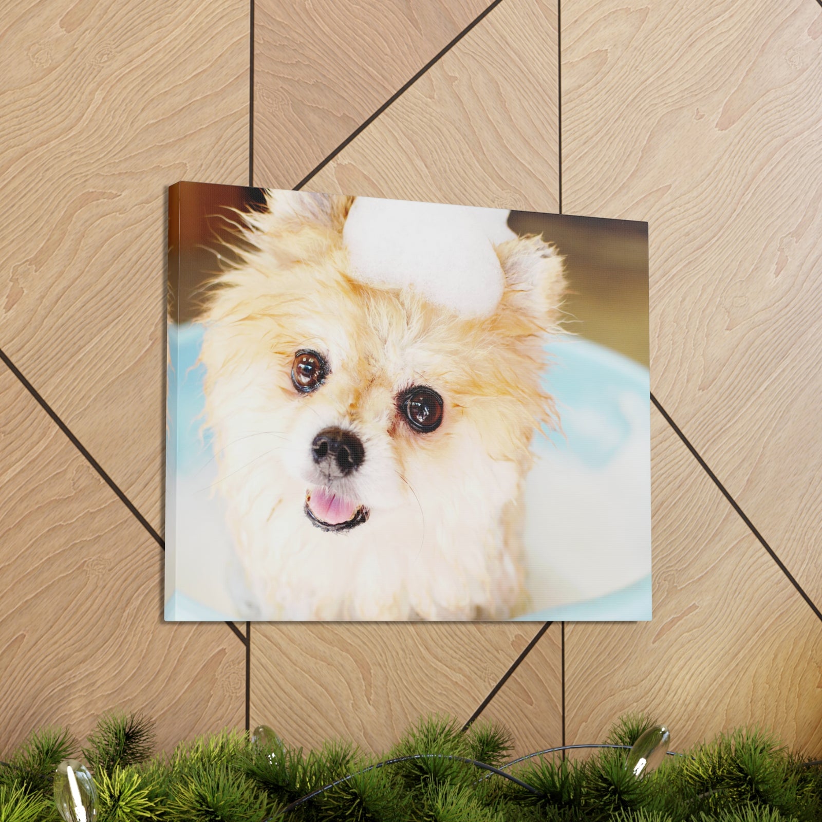 Cute Pomeranian Bathee Canvas Wall Art for Home Decor Ready-to-Hang-Express Your Love Gifts