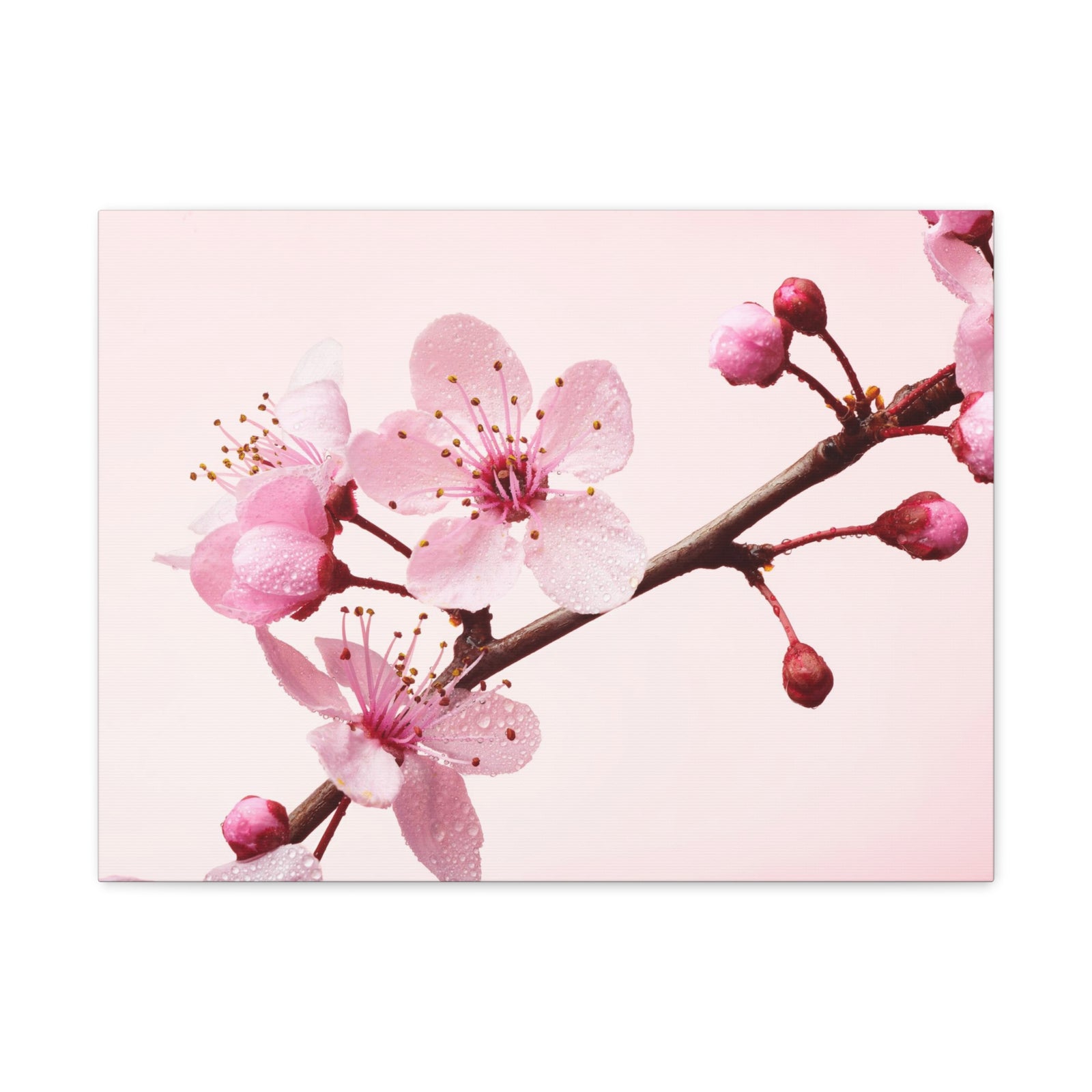 Cherry Blossom Branch Forest Floral Nature Photography Canvas Wall Art for Home Decor Ready-to-Hang-Express Your Love Gifts