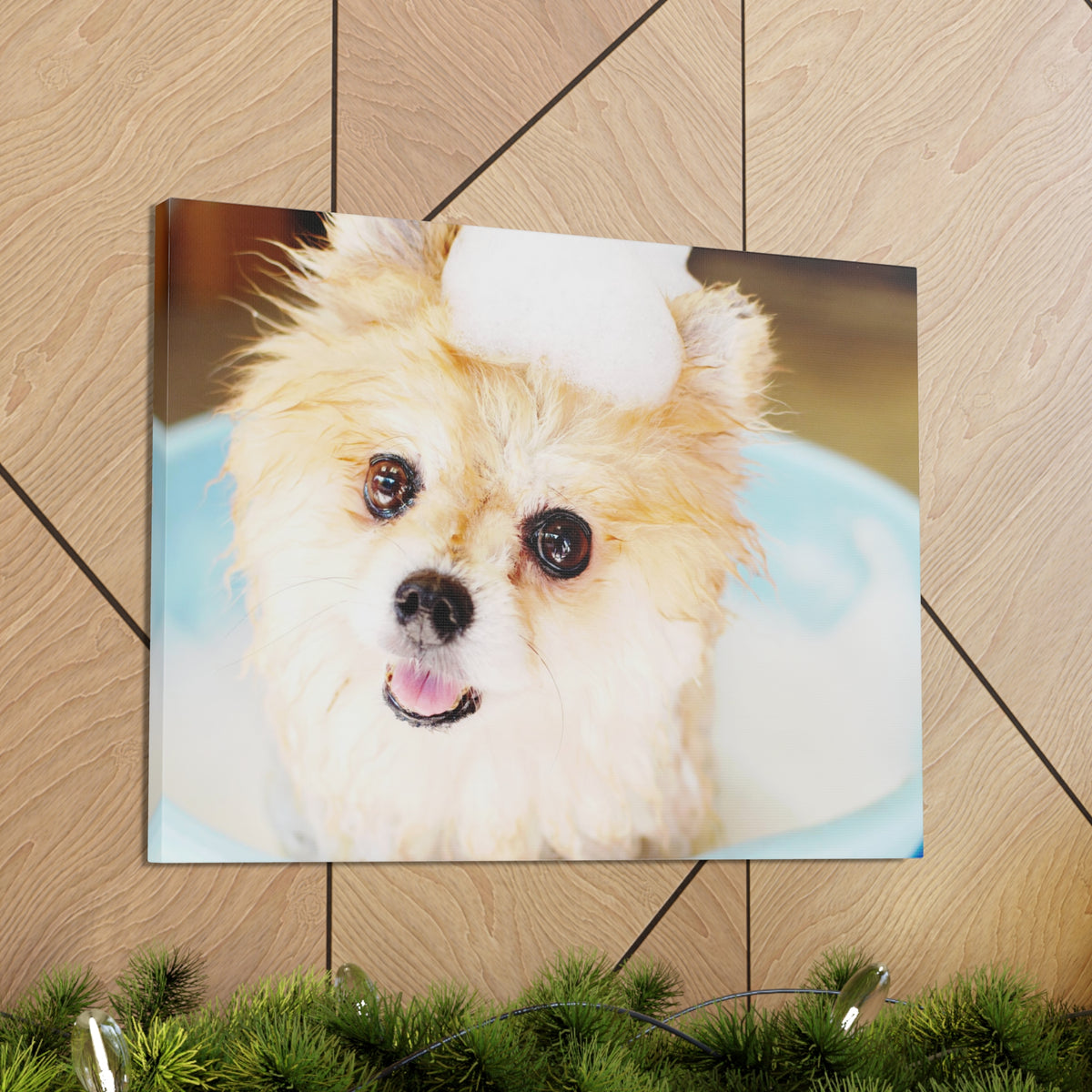 Cute Pomeranian Bathee Canvas Wall Art for Home Decor Ready-to-Hang-Express Your Love Gifts