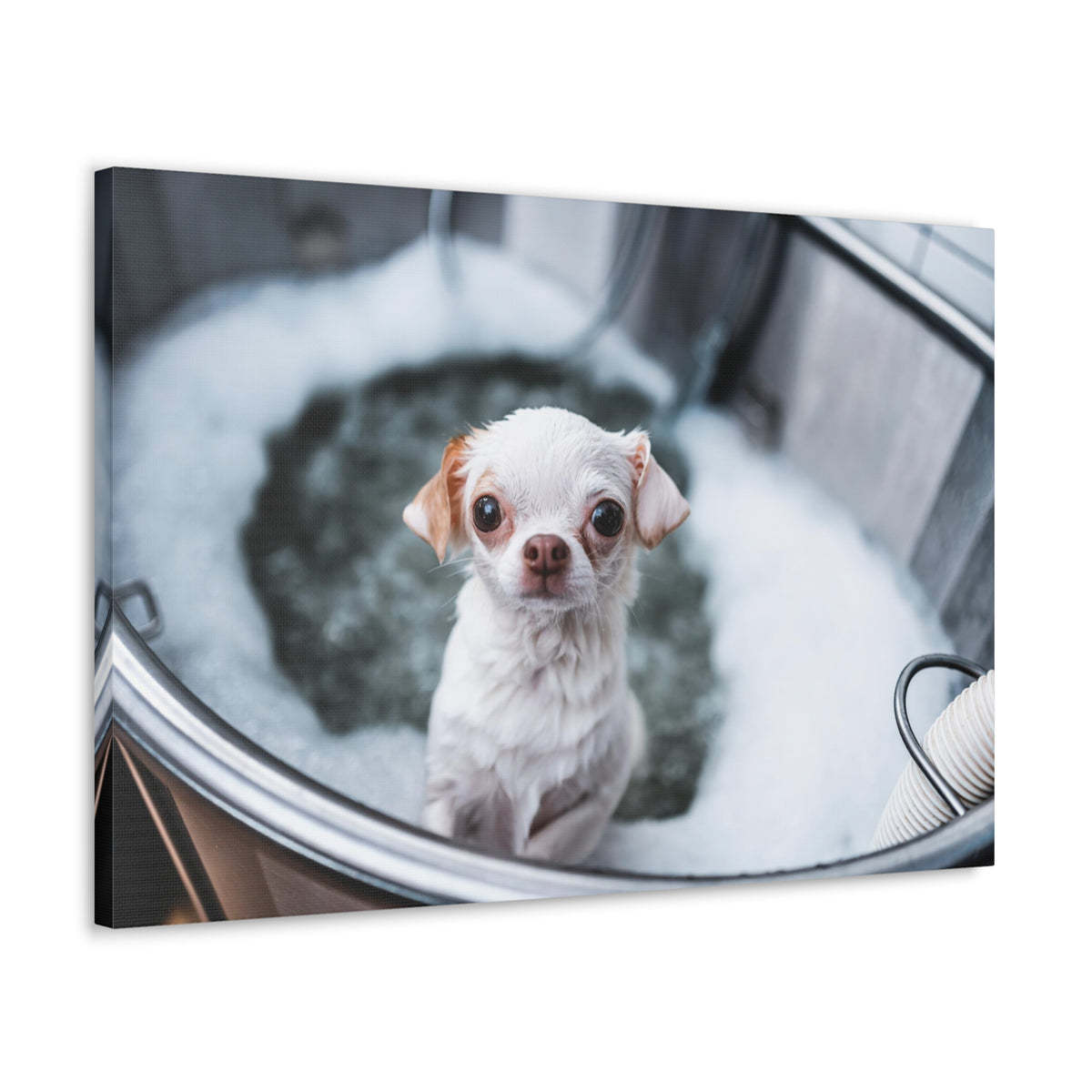 Cute Chihuahua Bathee Canvas Wall Art for Home Decor Ready-to-Hang-Express Your Love Gifts