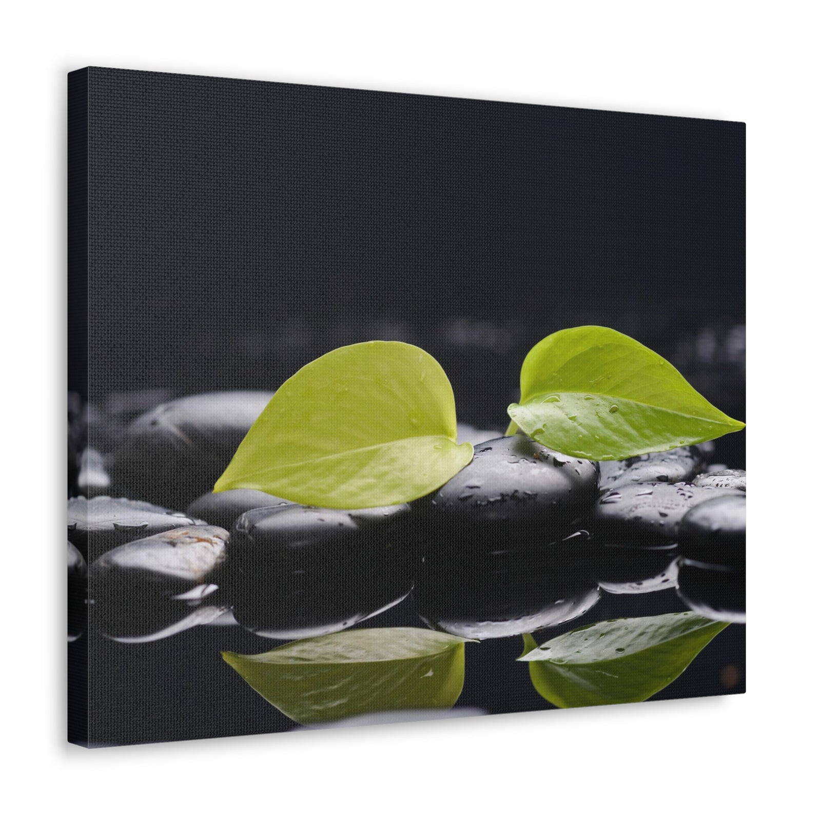 Green Leaf with Stones Forest Floral Nature Photography Canvas Wall Art for Home Decor Ready-to-Hang-Express Your Love Gifts