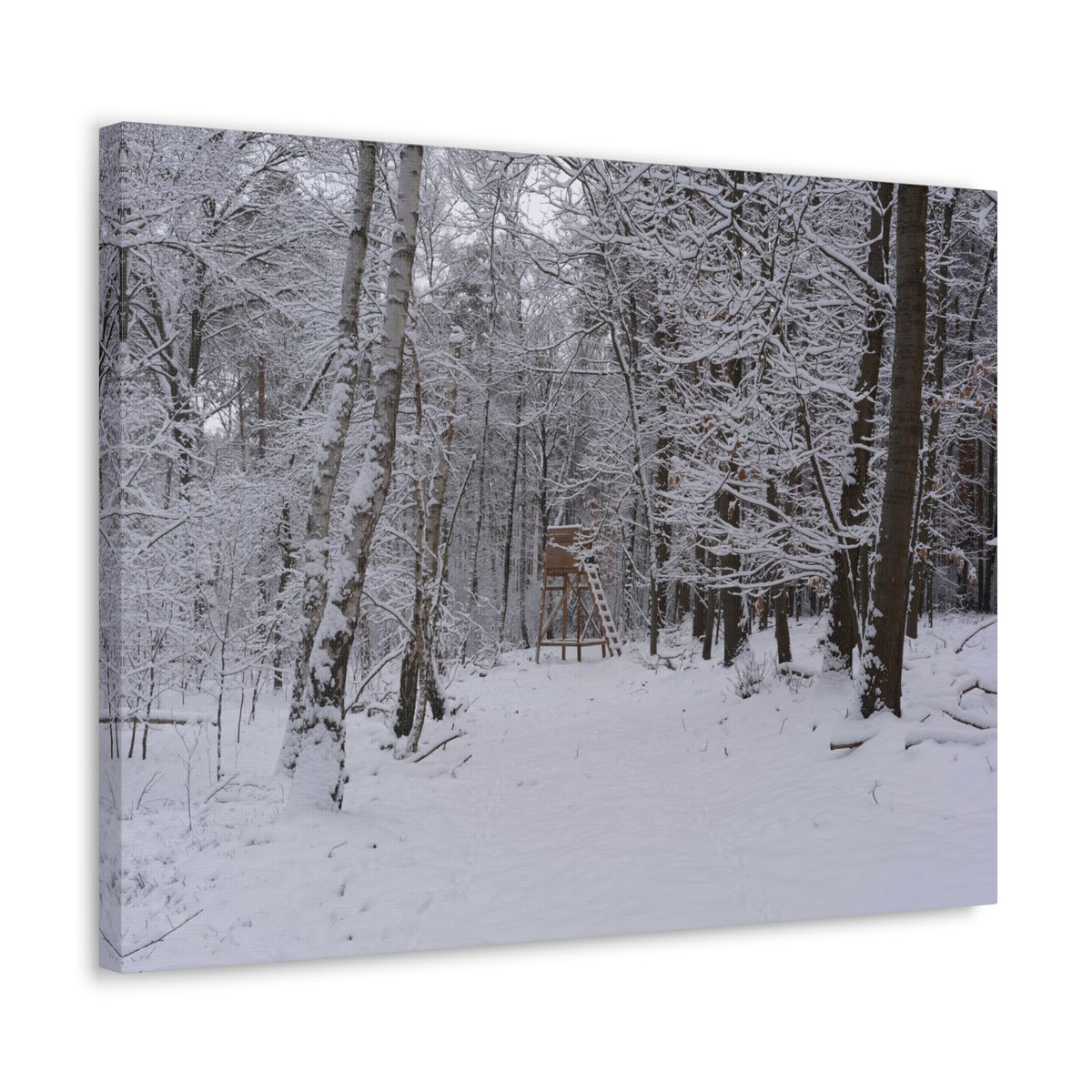 Forest Winter Tree Snow Nature Wilderness Photography Canvas Wall Art for Home Decor Ready-to-Hang-Express Your Love Gifts