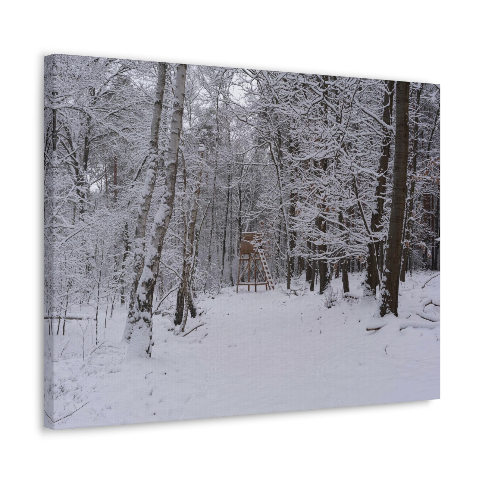 Forest Winter Tree Snow Nature Wilderness Photography Canvas Wall Art for Home Decor Ready-to-Hang-Express Your Love Gifts