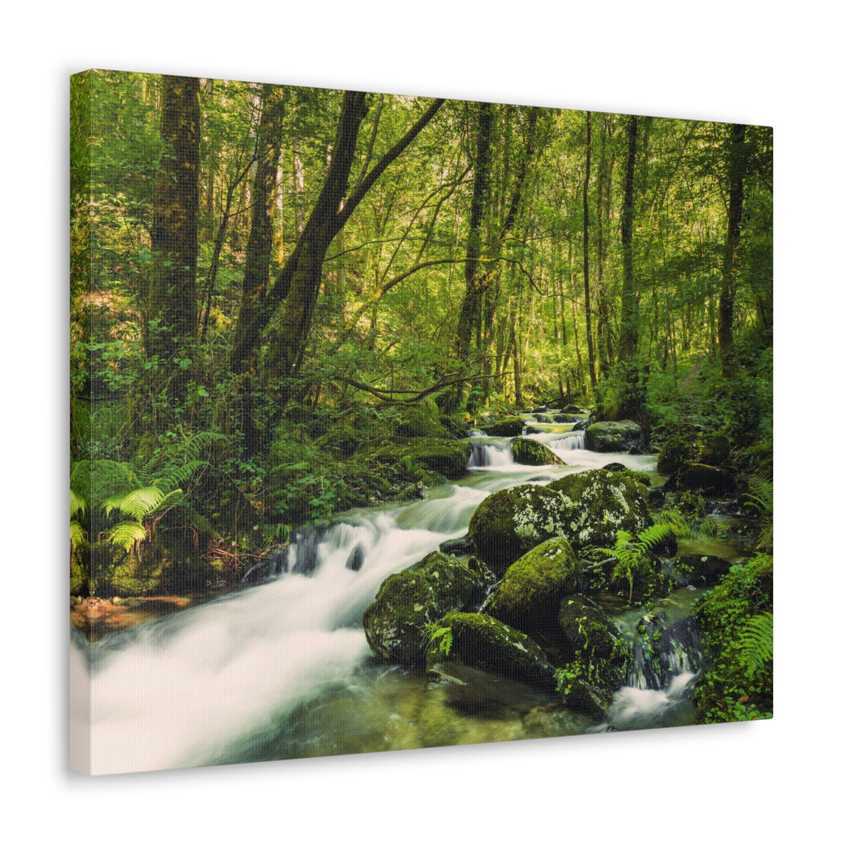 Green Forest River Nature Wilderness Photography Canvas Wall Art for Home Decor Ready-to-Hang-Express Your Love Gifts