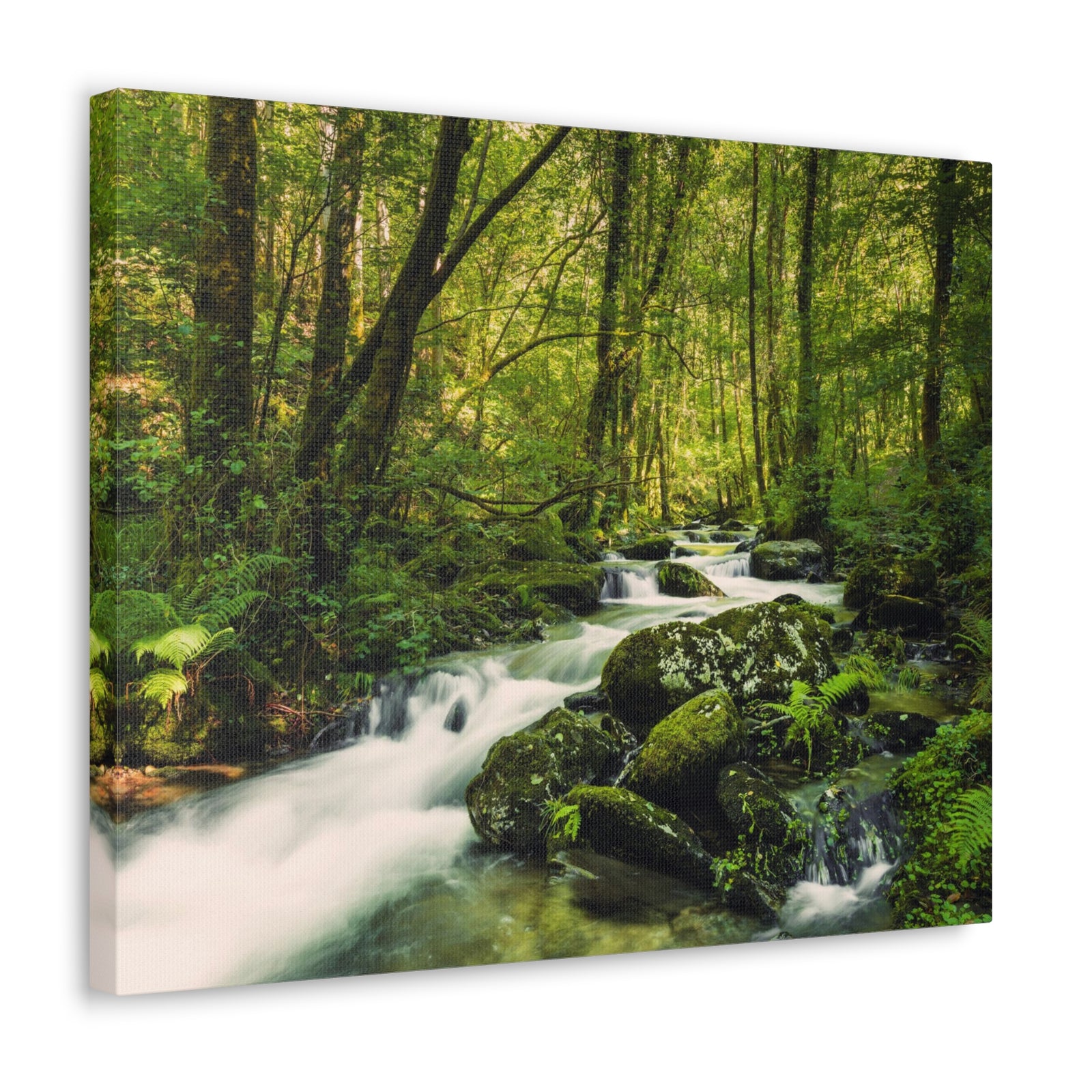 Green Forest River Nature Wilderness Photography Canvas Wall Art for Home Decor Ready-to-Hang-Express Your Love Gifts
