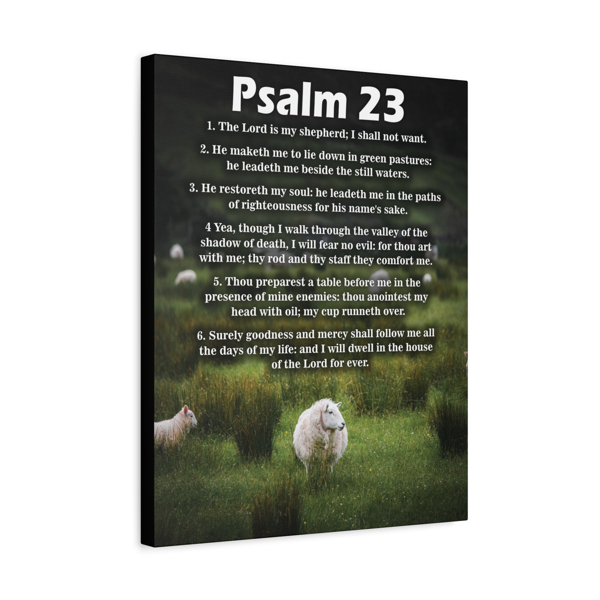 Scripture Walls The Lord is My Shepherd Psalm 23:3 Christian Wall Art Bible Verse Print Ready to Hang-Express Your Love Gifts