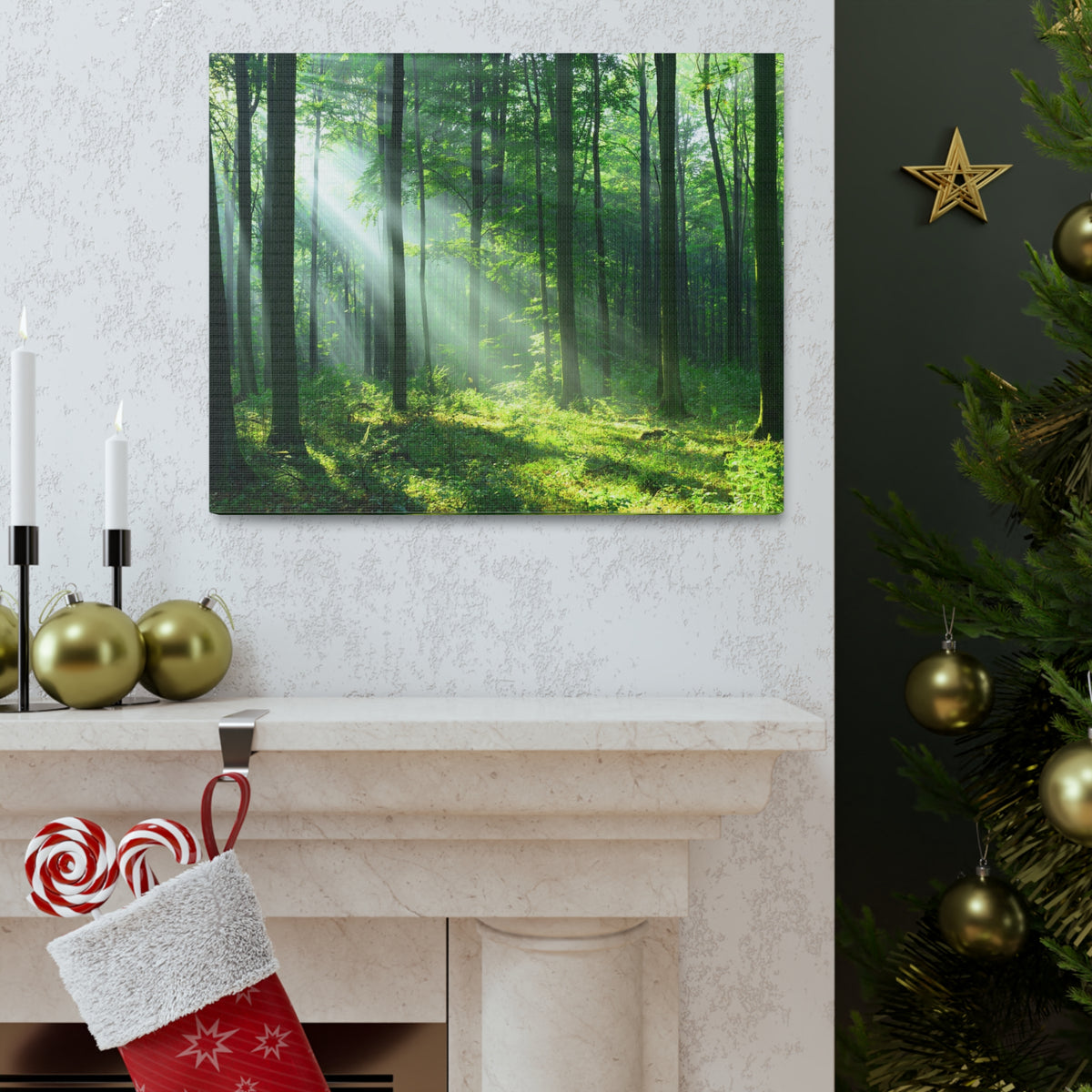 Green Forest Sunlight Nature Wilderness Photography Canvas Wall Art for Home Decor Ready-to-Hang-Express Your Love Gifts