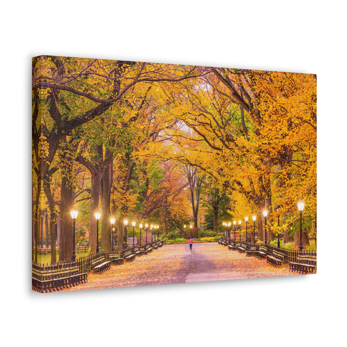 Orange Tree Autumn Park Nature Wilderness Photography Canvas Wall Art for Home Decor Ready-to-Hang-Express Your Love Gifts