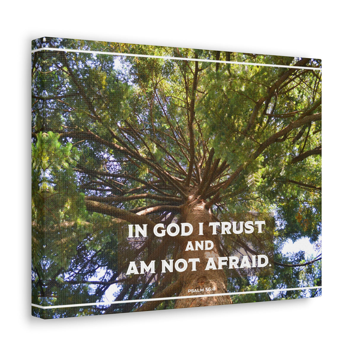 Scripture Walls In God I Trust Psalm 56:4 Bible Verse Canvas Christian Wall Art Ready to Hang-Express Your Love Gifts