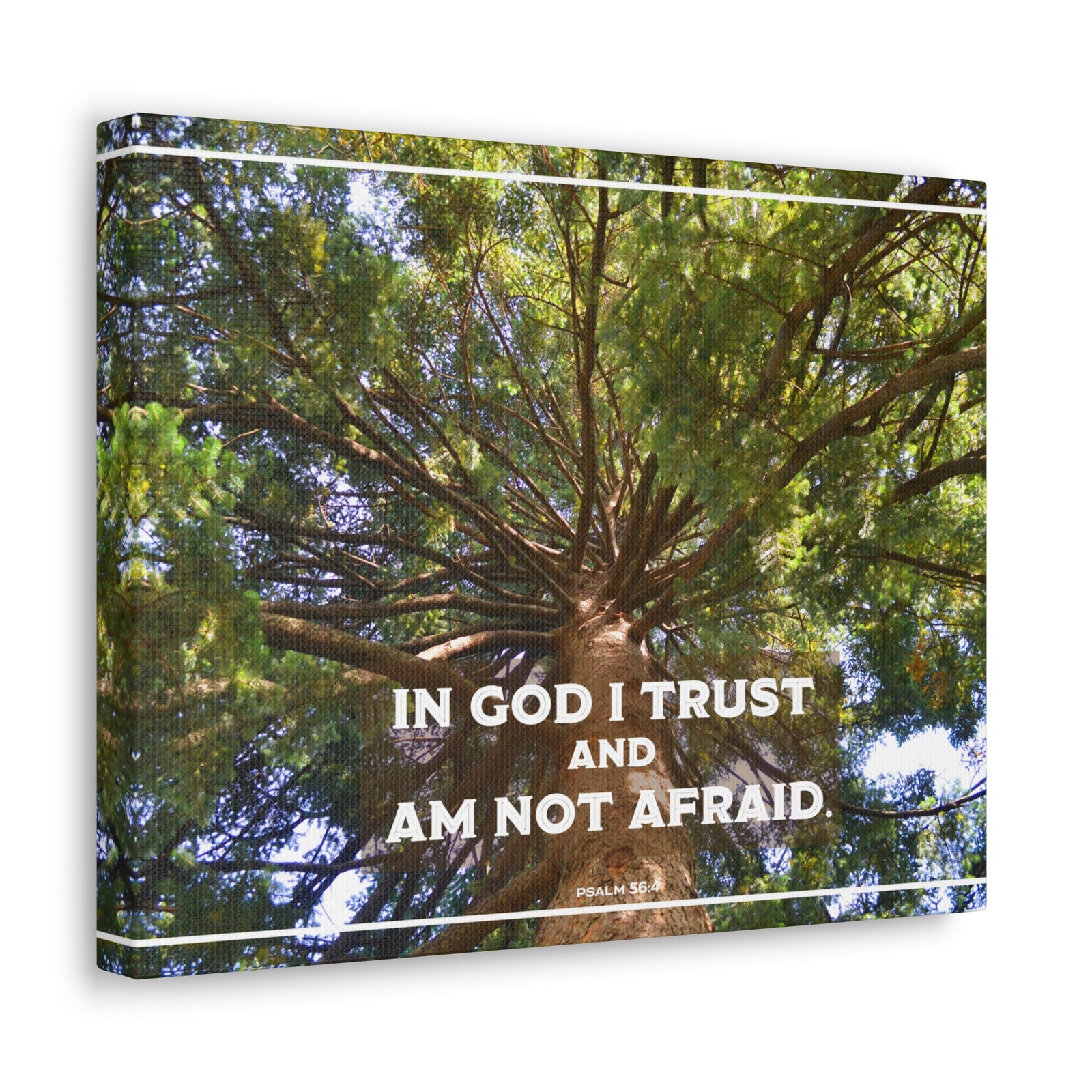Scripture Walls In God I Trust Psalm 56:4 Bible Verse Canvas Christian Wall Art Ready to Hang-Express Your Love Gifts