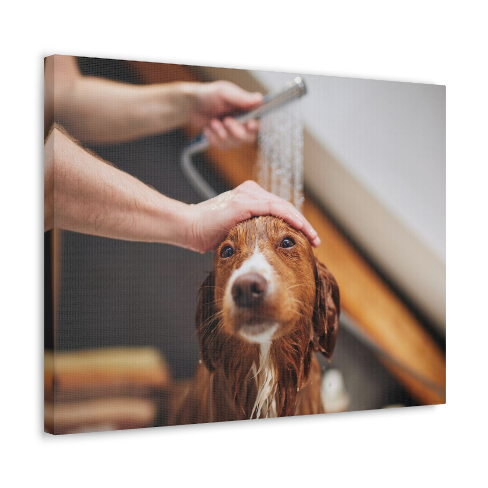 Cute Tolling Retriever Bath Canvas Wall Art for Home Decor Ready-to-Hang-Express Your Love Gifts