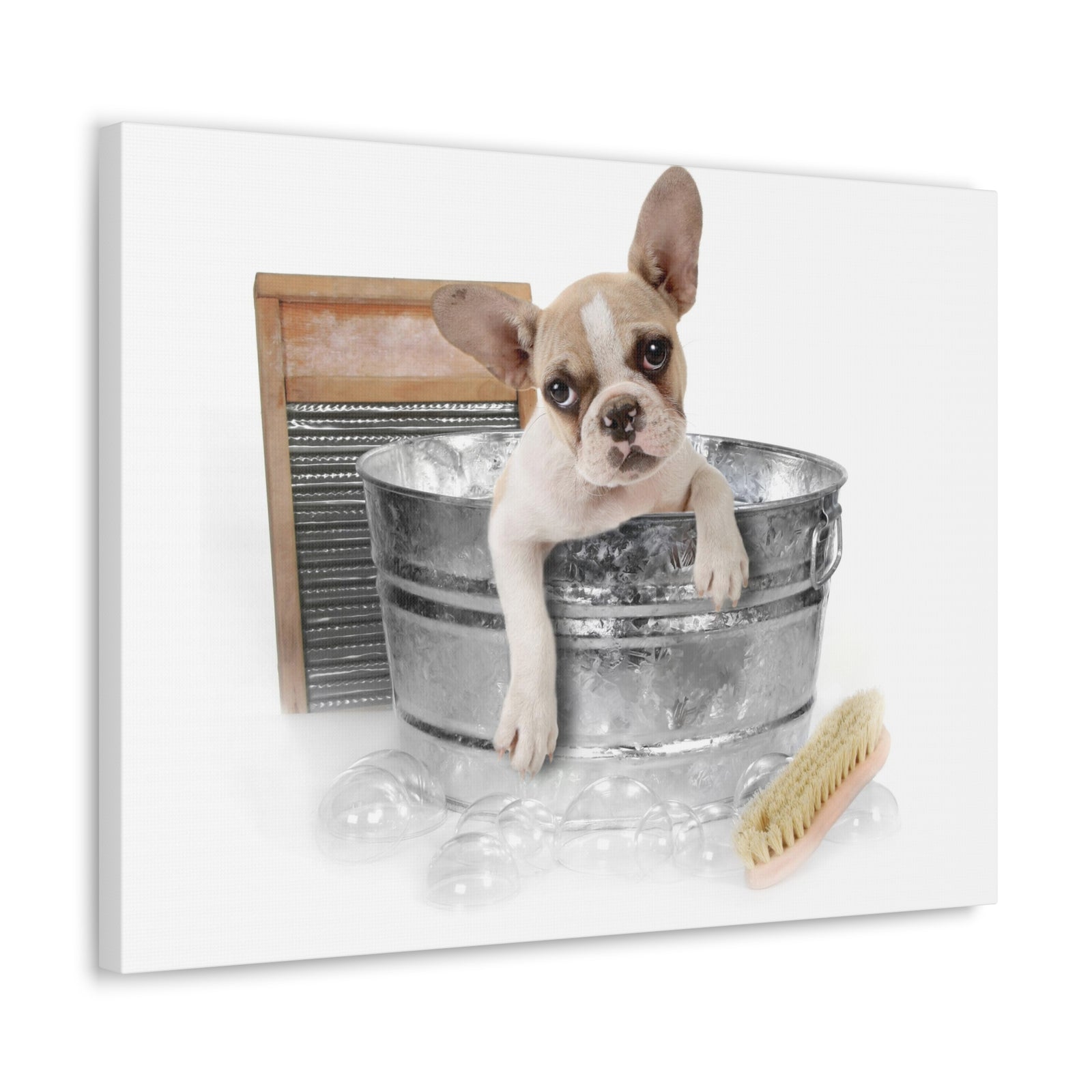 Cute French Bulldog Bath Canvas Wall Art for Home Decor Ready-to-Hang-Express Your Love Gifts