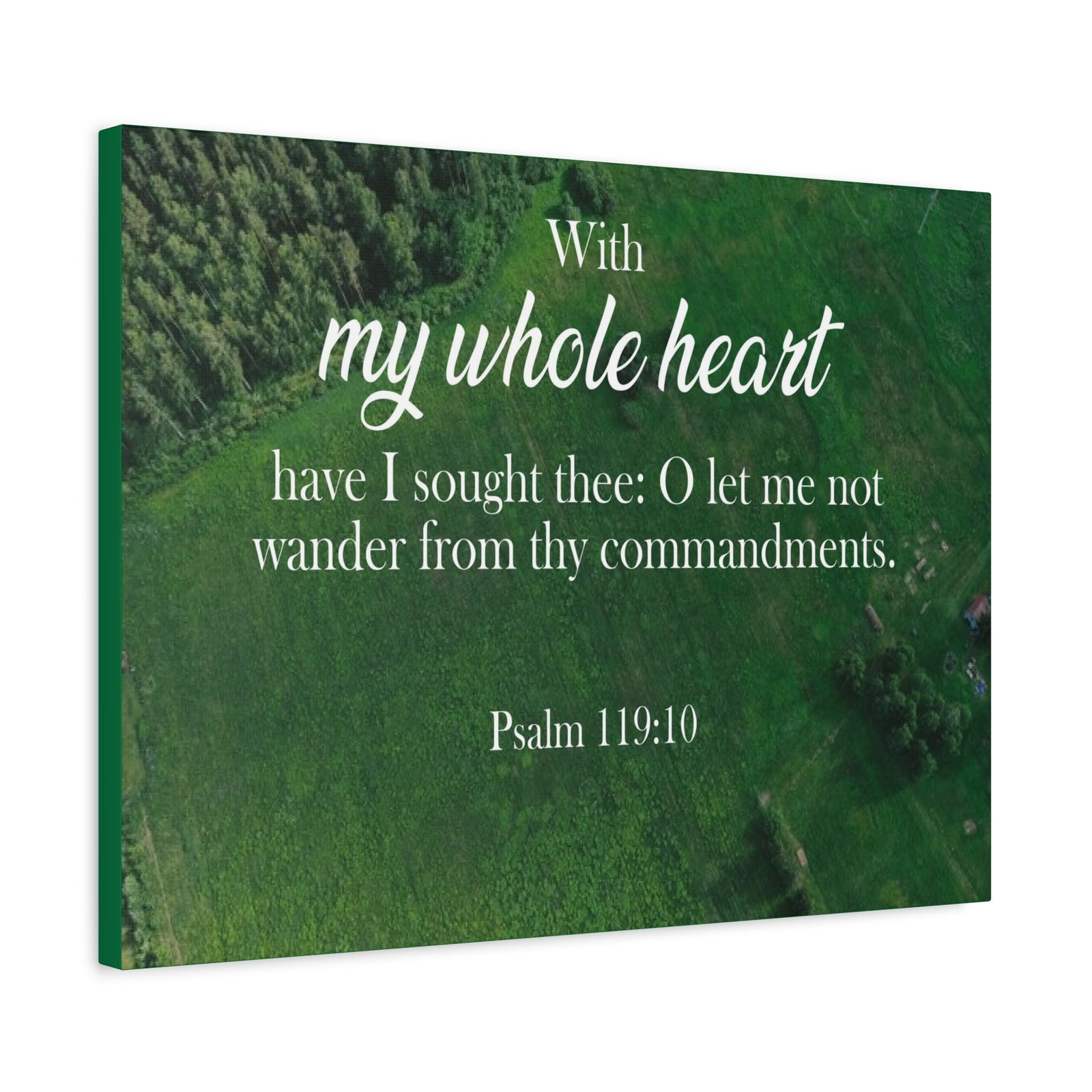Scripture Walls Psalm 119:10 Whole Heart Bible Verse Canvas Christian Wall Art Ready to Hang Unframed-Express Your Love Gifts