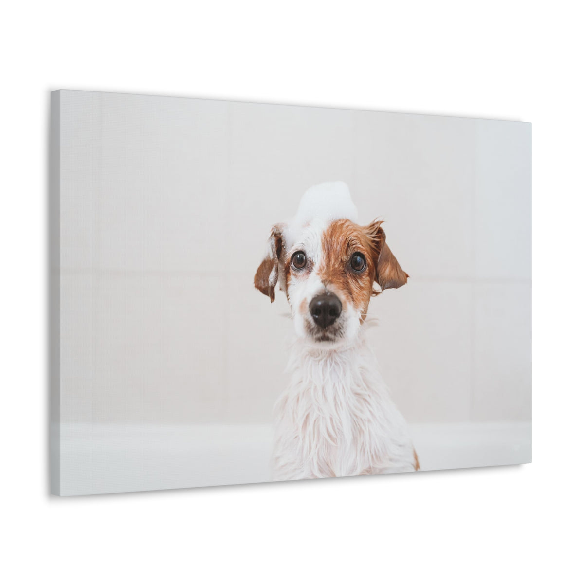Cute Jack Russell Terrier Bathee Canvas Wall Art for Home Decor Ready-to-Hang-Express Your Love Gifts