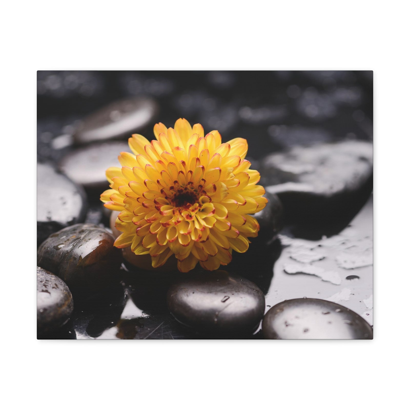 Macro of Yellow Flower Forest Floral Nature Photography Canvas Wall Art for Home Decor Ready-to-Hang-Express Your Love Gifts