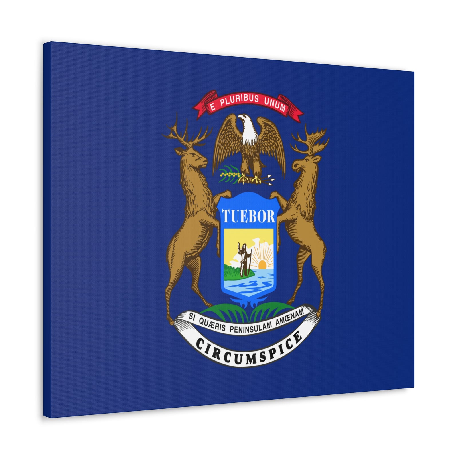 Michigan Stage Flag Canvas Vibrant Wall Art Unframed Home Decor-Express Your Love Gifts