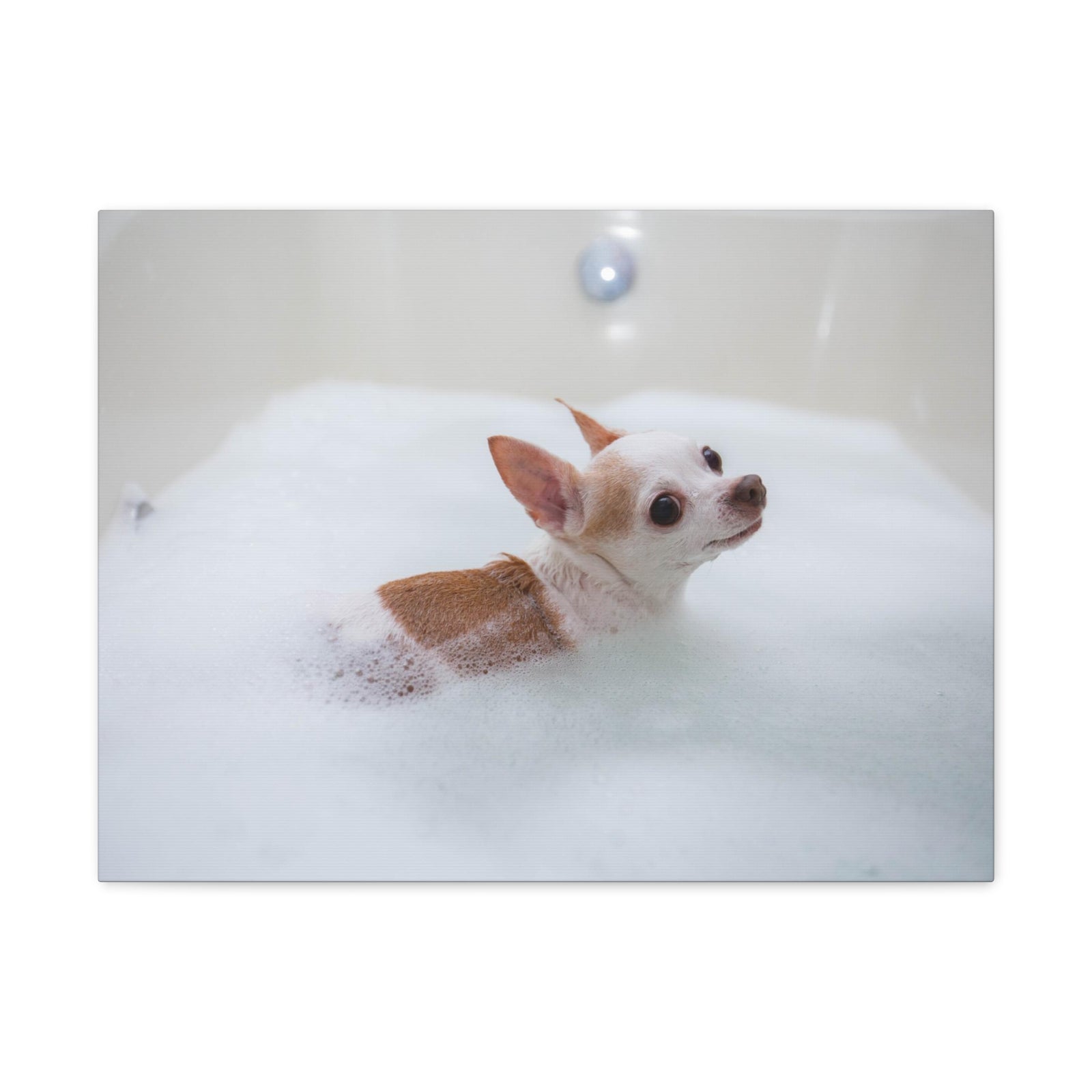 Cute Chihuahua Bathee Canvas Wall Art for Home Decor Ready-to-Hang-Express Your Love Gifts