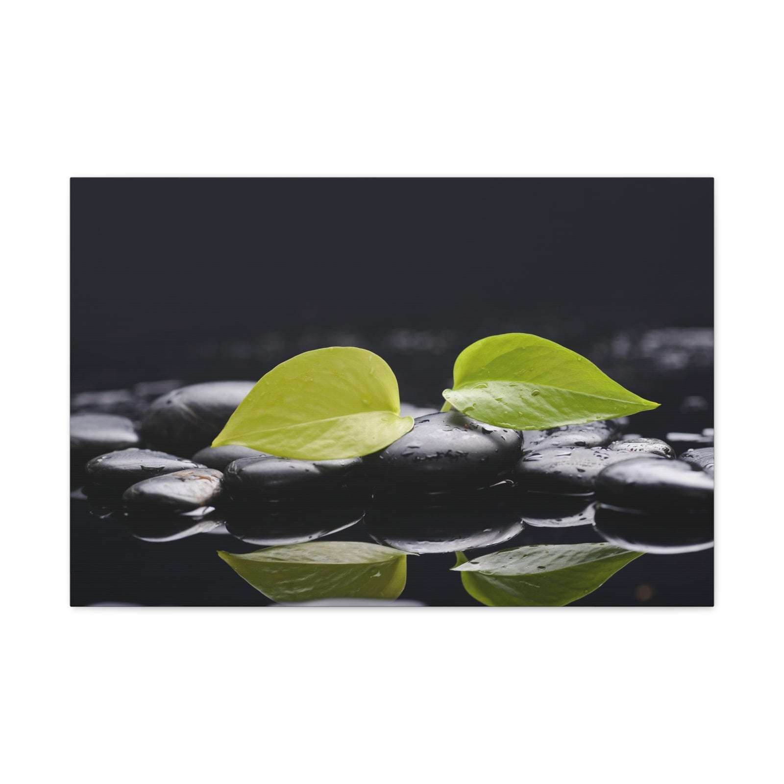 Green Leaf with Stones Forest Floral Nature Photography Canvas Wall Art for Home Decor Ready-to-Hang-Express Your Love Gifts