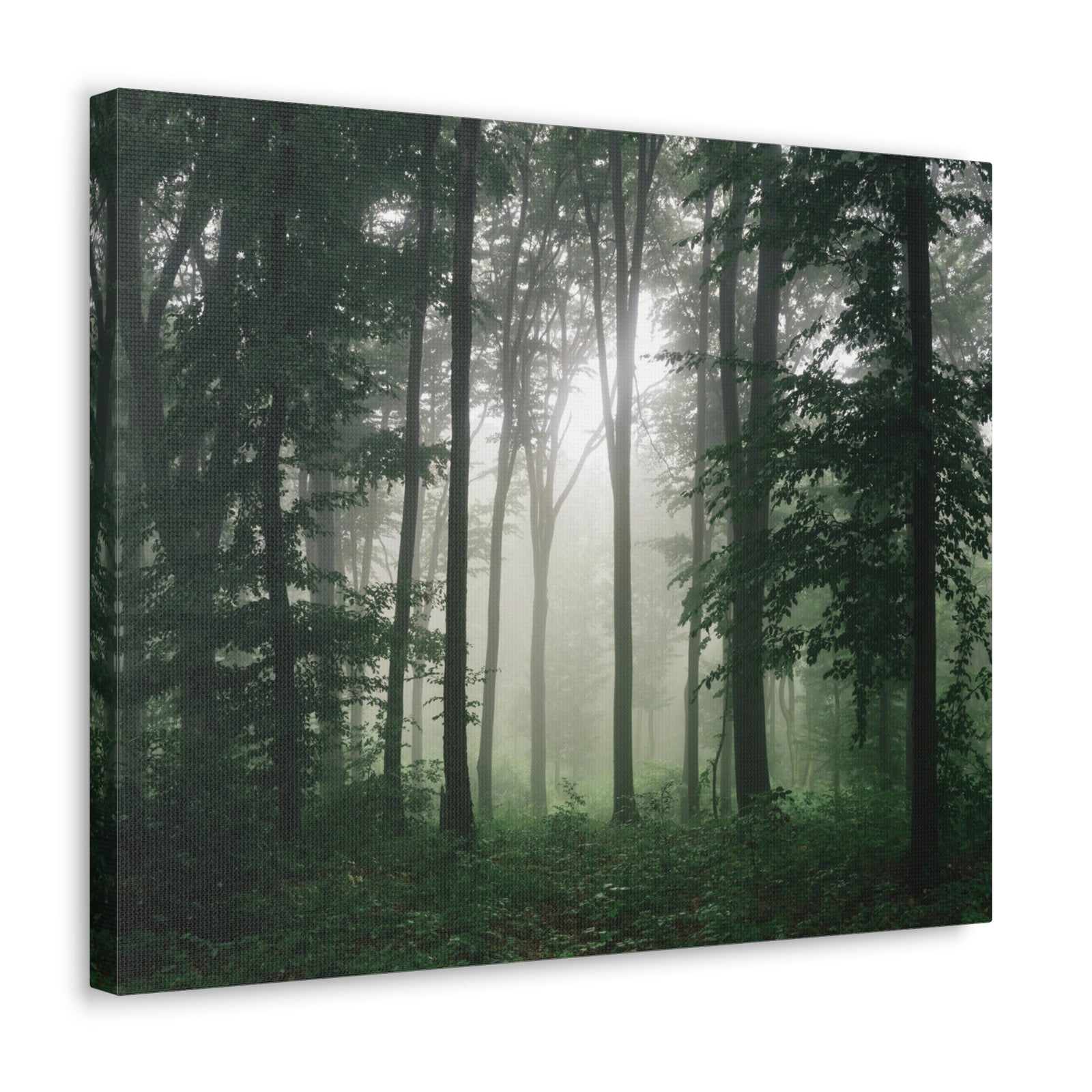Pine Tree Misty Forest Nature Wilderness Photography Canvas Wall Art for Home Decor Ready-to-Hang-Express Your Love Gifts
