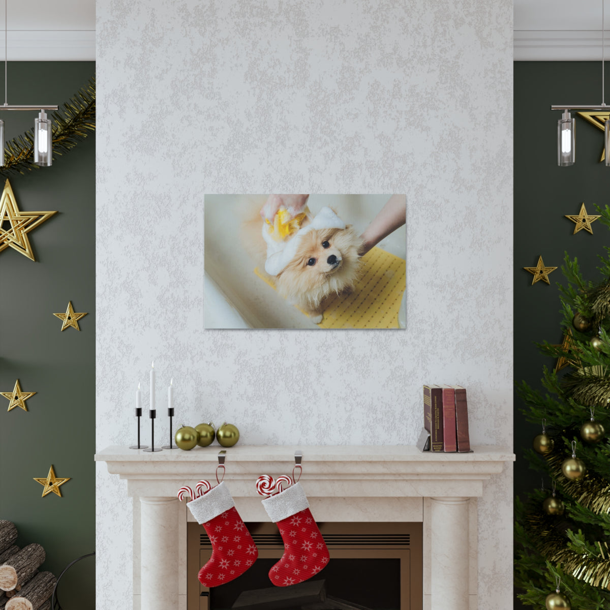 Cute Pomeranian Bathee Canvas Wall Art for Home Decor Ready-to-Hang-Express Your Love Gifts