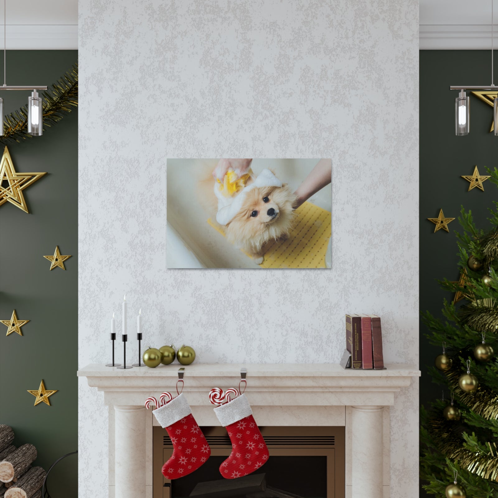 Cute Pomeranian Bathee Canvas Wall Art for Home Decor Ready-to-Hang-Express Your Love Gifts