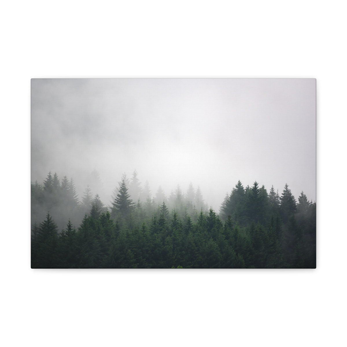 Foggy Dark Forest Nature Wilderness Photography Canvas Wall Art for Home Decor Ready-to-Hang-Express Your Love Gifts