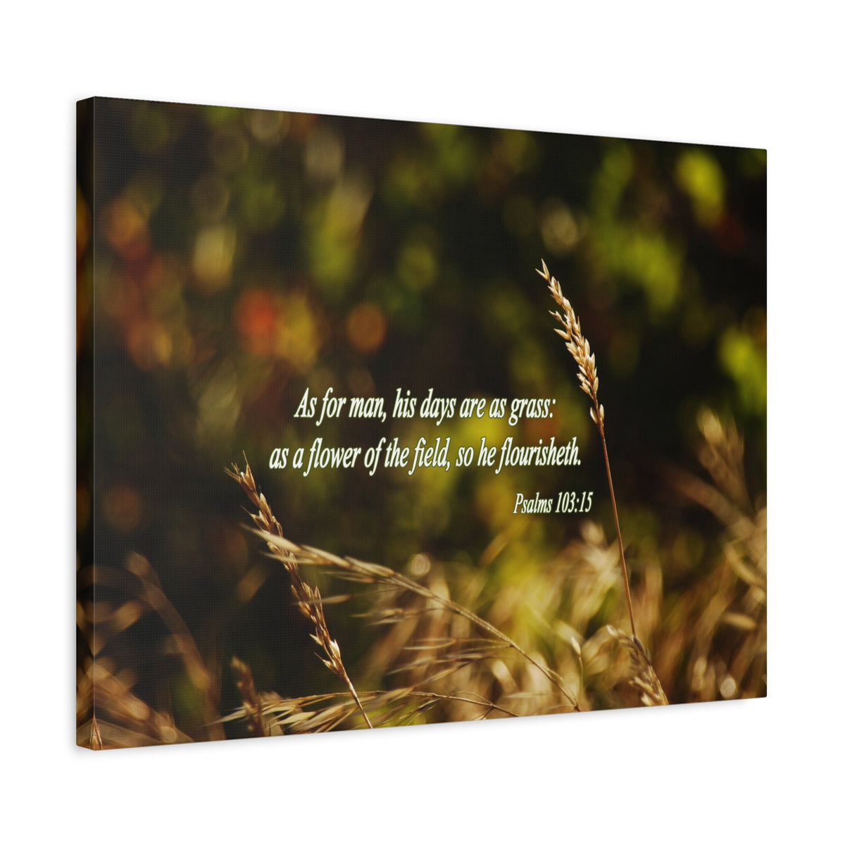 Scripture Canvas Flower of the Field Psalm 103:15 Christian Wall Art Bible Verse Print Ready to Hang-Express Your Love Gifts