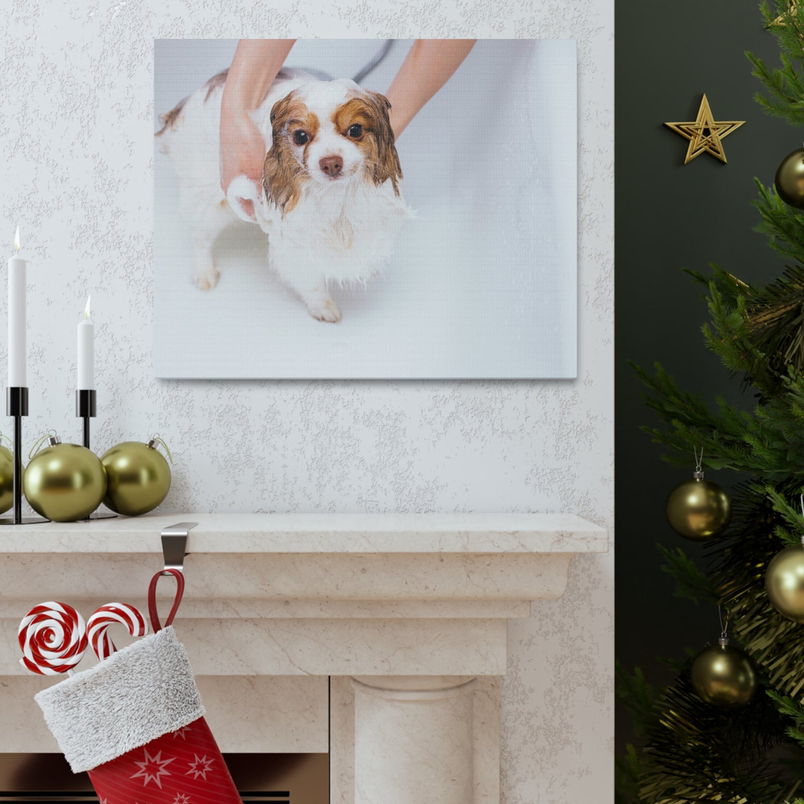 Cute Cavalier King Charles Spaniel Bath Canvas Wall Art for Home Decor Ready-to-Hang-Express Your Love Gifts
