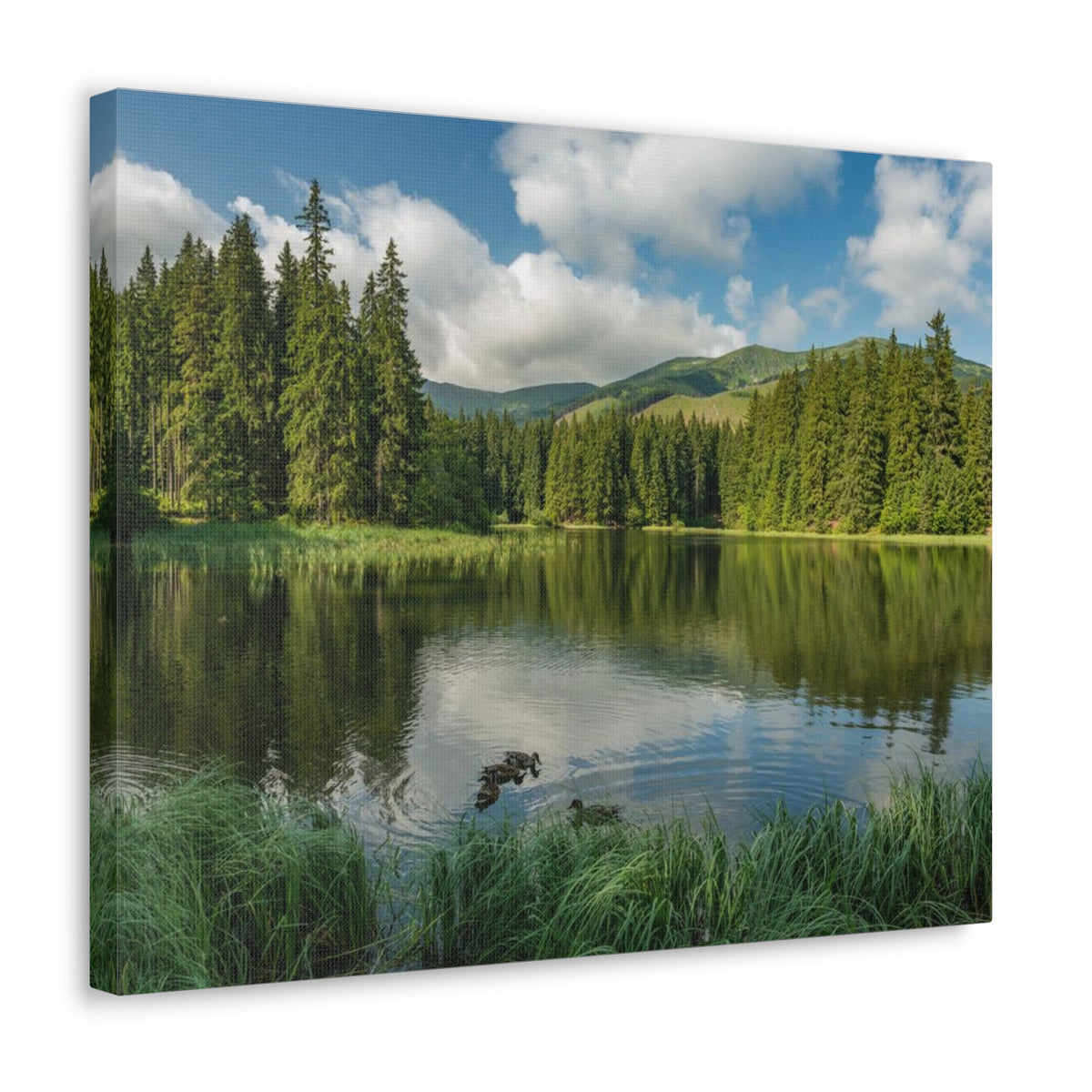 Lake Reflection Green Forest Nature Wilderness Photography Canvas Wall Art for Home Decor Ready-to-Hang-Express Your Love Gifts