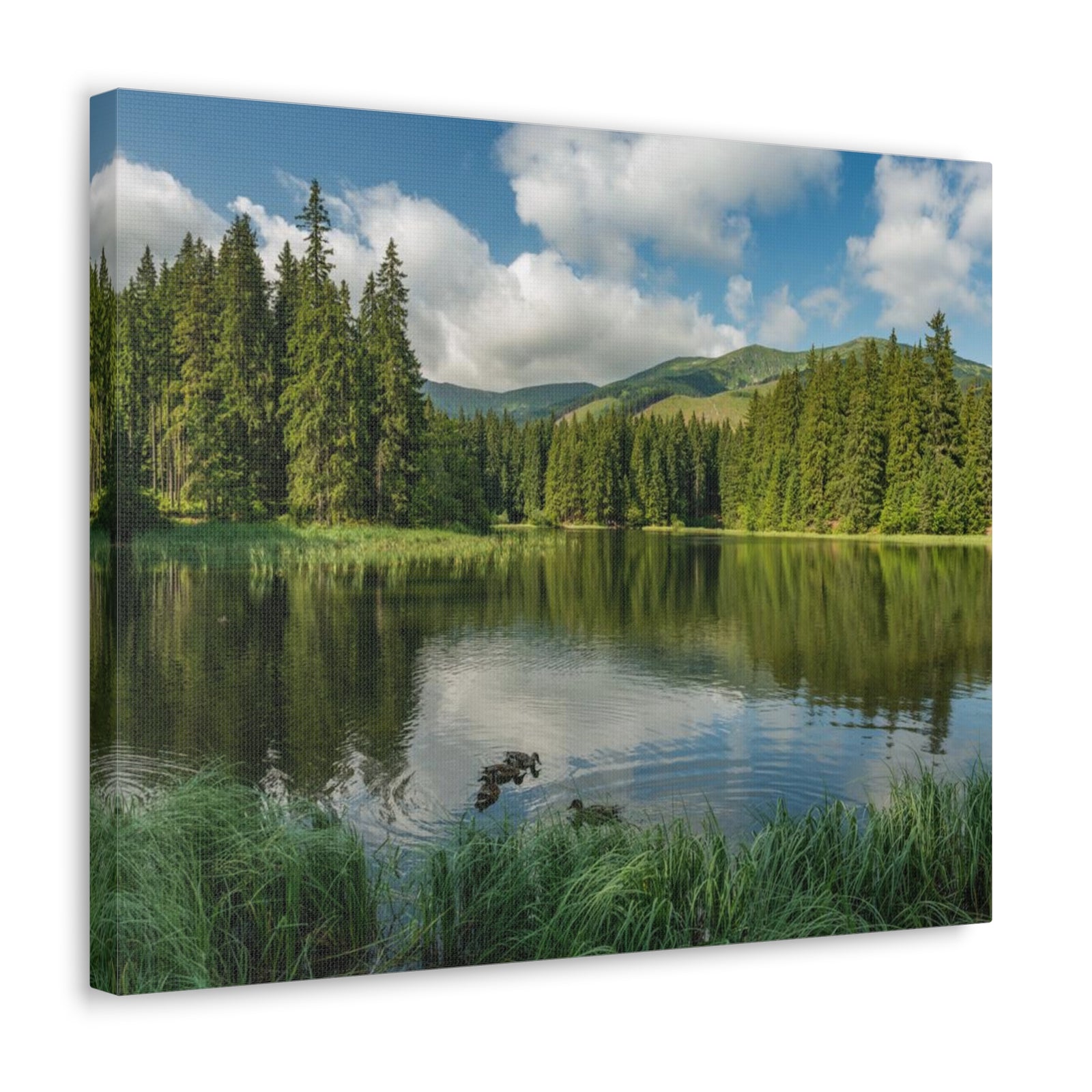Lake Reflection Green Forest Nature Wilderness Photography Canvas Wall Art for Home Decor Ready-to-Hang-Express Your Love Gifts