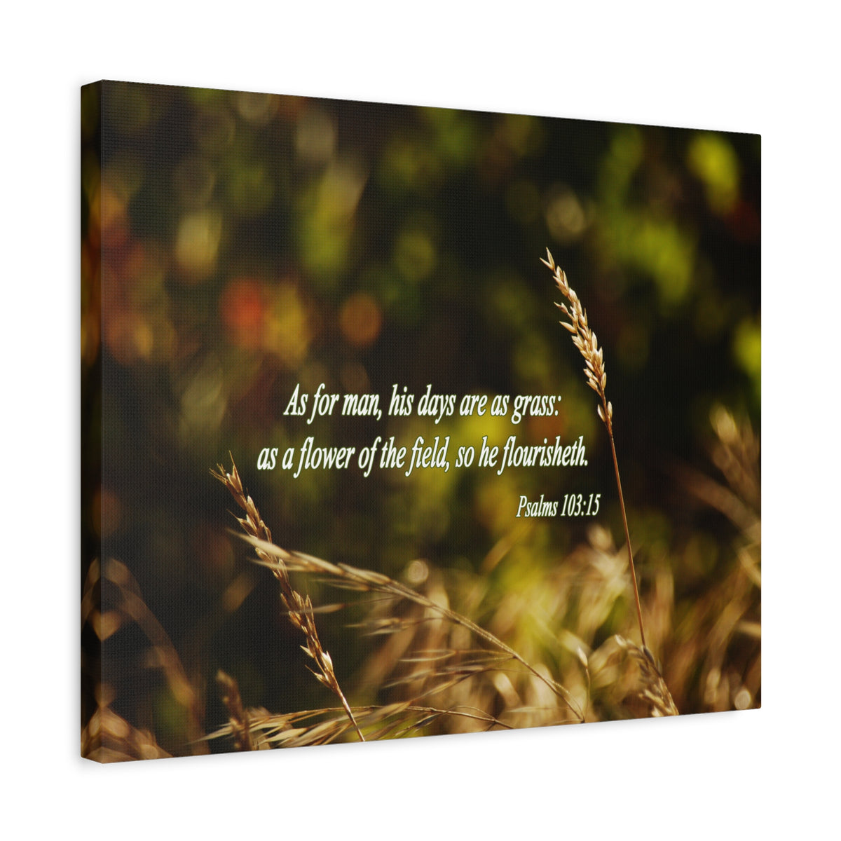 Scripture Walls Flower Of The Field Psalms 103:15 Bible Verse Canvas Christian Wall Art Bible Verse Print Ready To Hang-Express Your Love Gifts