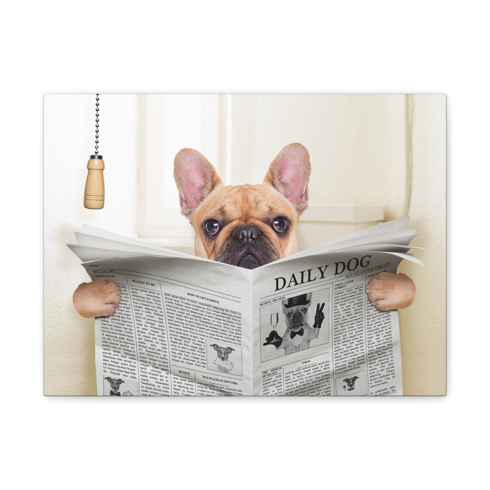 Fawn French Bulldog Reading Newspaper On Toilet Funny Canvas Wall Art for Home Decor Ready-to-Hand-Express Your Love Gifts