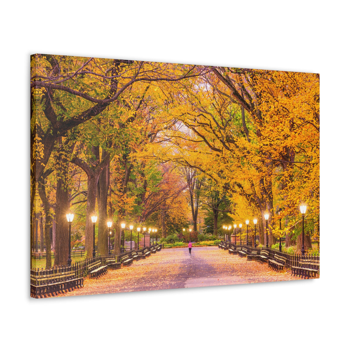 Orange Tree Autumn Park Nature Wilderness Photography Canvas Wall Art for Home Decor Ready-to-Hang-Express Your Love Gifts