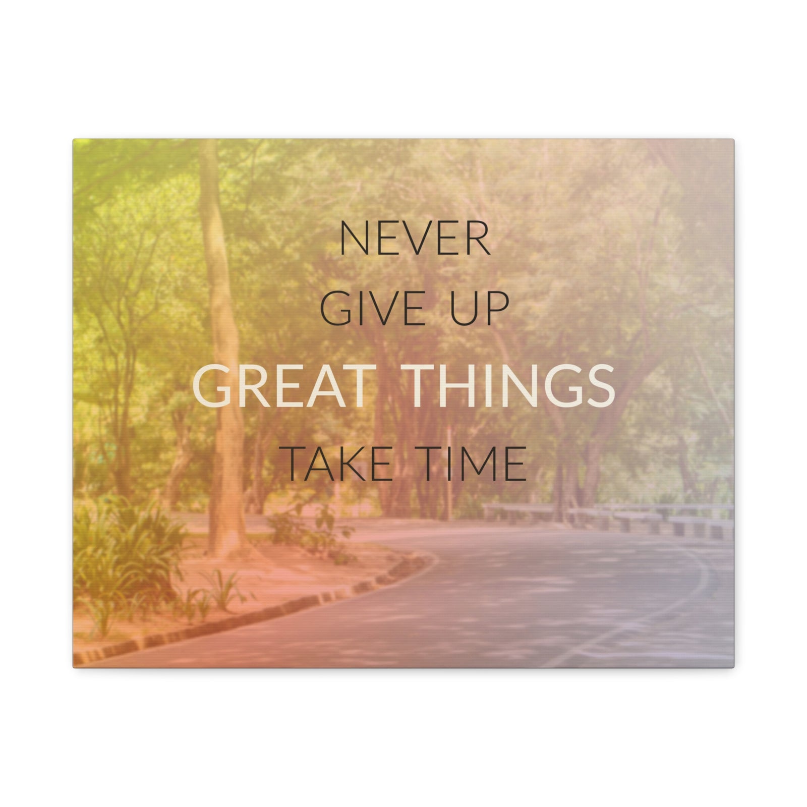 Inspirational Quote Canvas Never Give Up Motivational Print Ready to Hang Artwork-Express Your Love Gifts