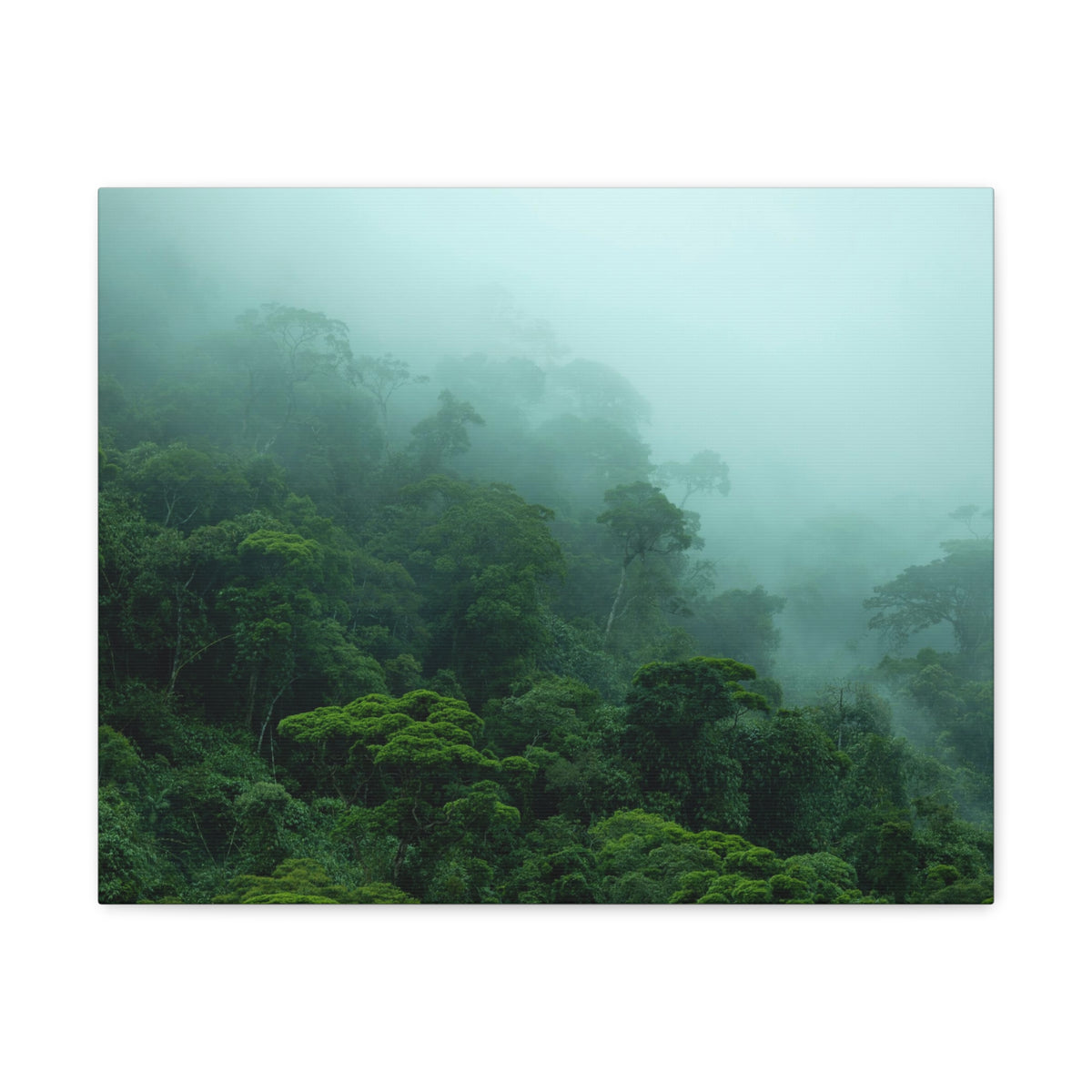 Dark Misty Forest Nature Wilderness Photography Canvas Wall Art for Home Decor Ready-to-Hang-Express Your Love Gifts